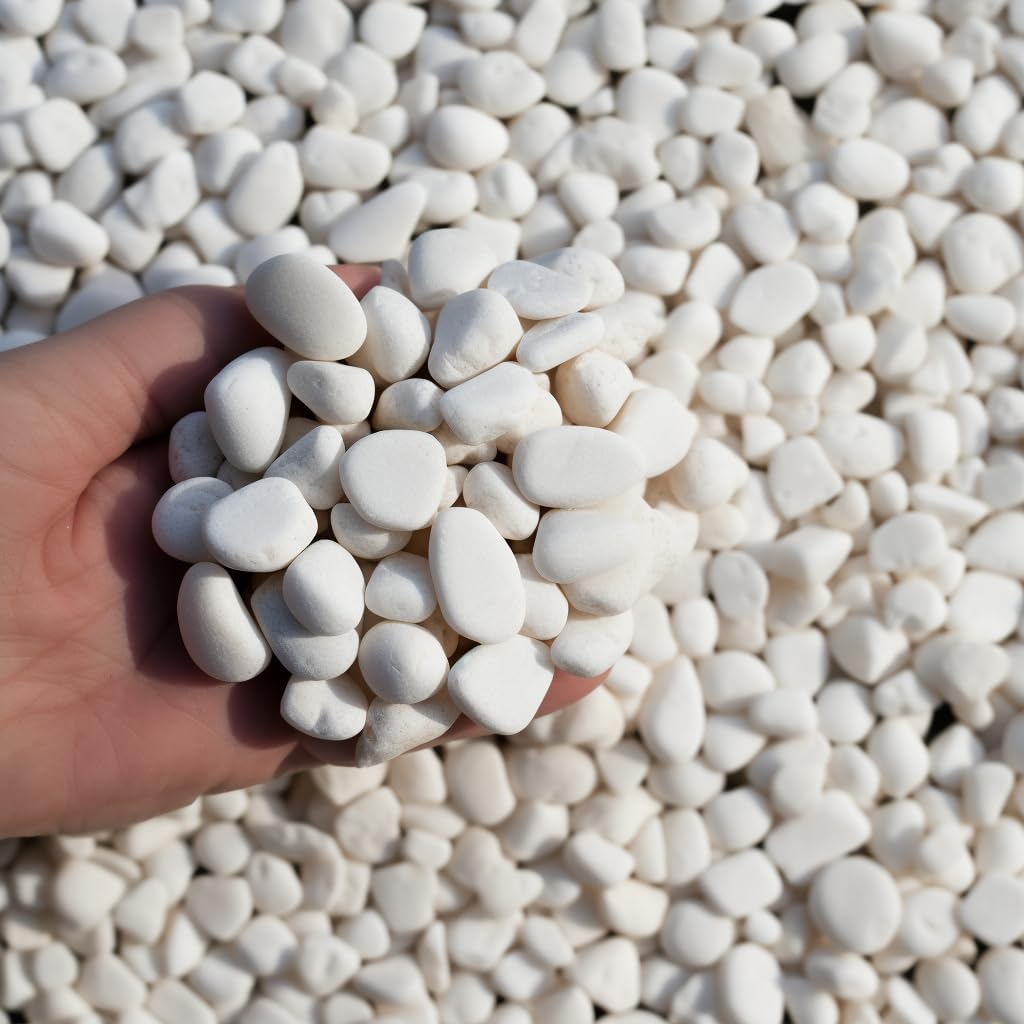 2 LBS River Rocks, StoneCreek, Decorative Garden Stones for Plant Landscaping, Polished Gravel Filler Pebbles for Home Decoration, Vases, Succulents, Flower Beds and Fish Tanks (White, Medium)