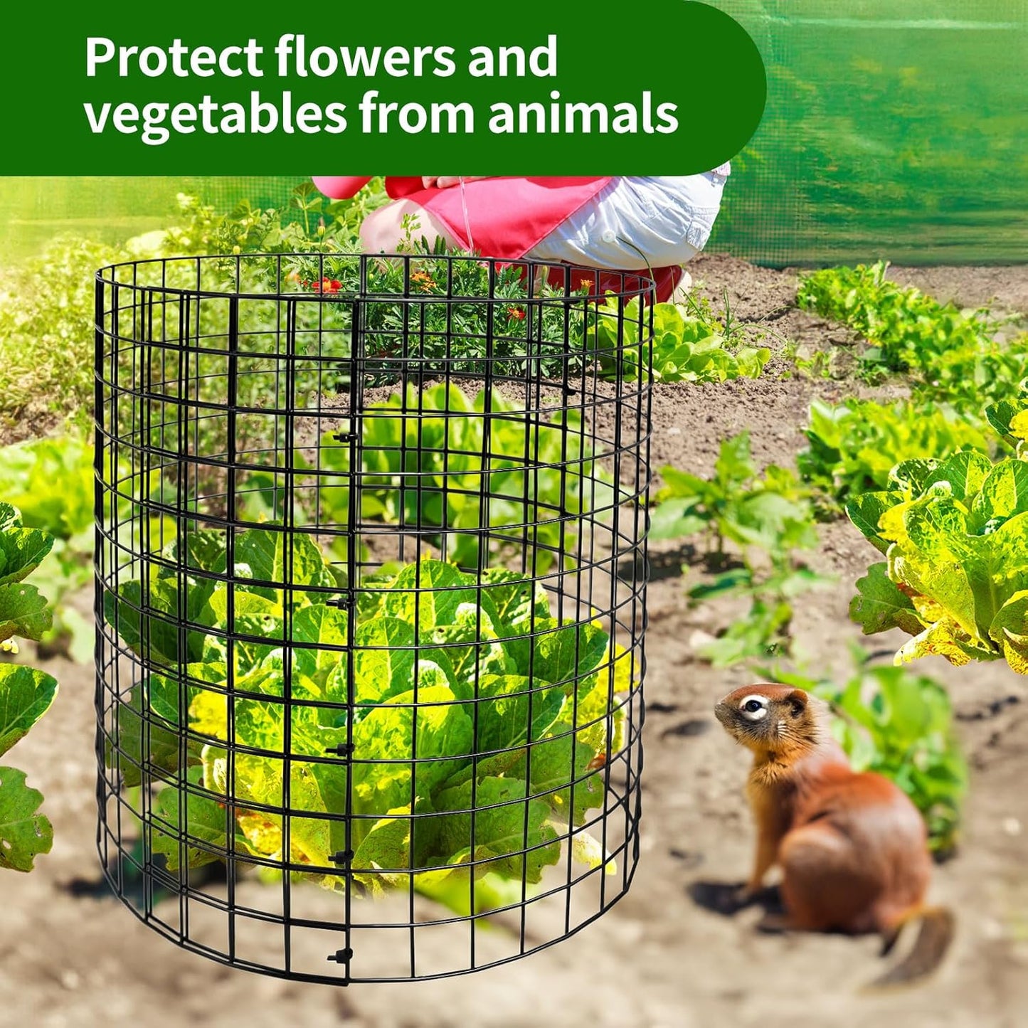 10 Pack Metal Plant Protector, Metal Plant Protection Cages (13" Diax14.2H) to Keep Animals Out, for The Garden Protection of Flowers, Saplings, Fruits Vegetables, Black