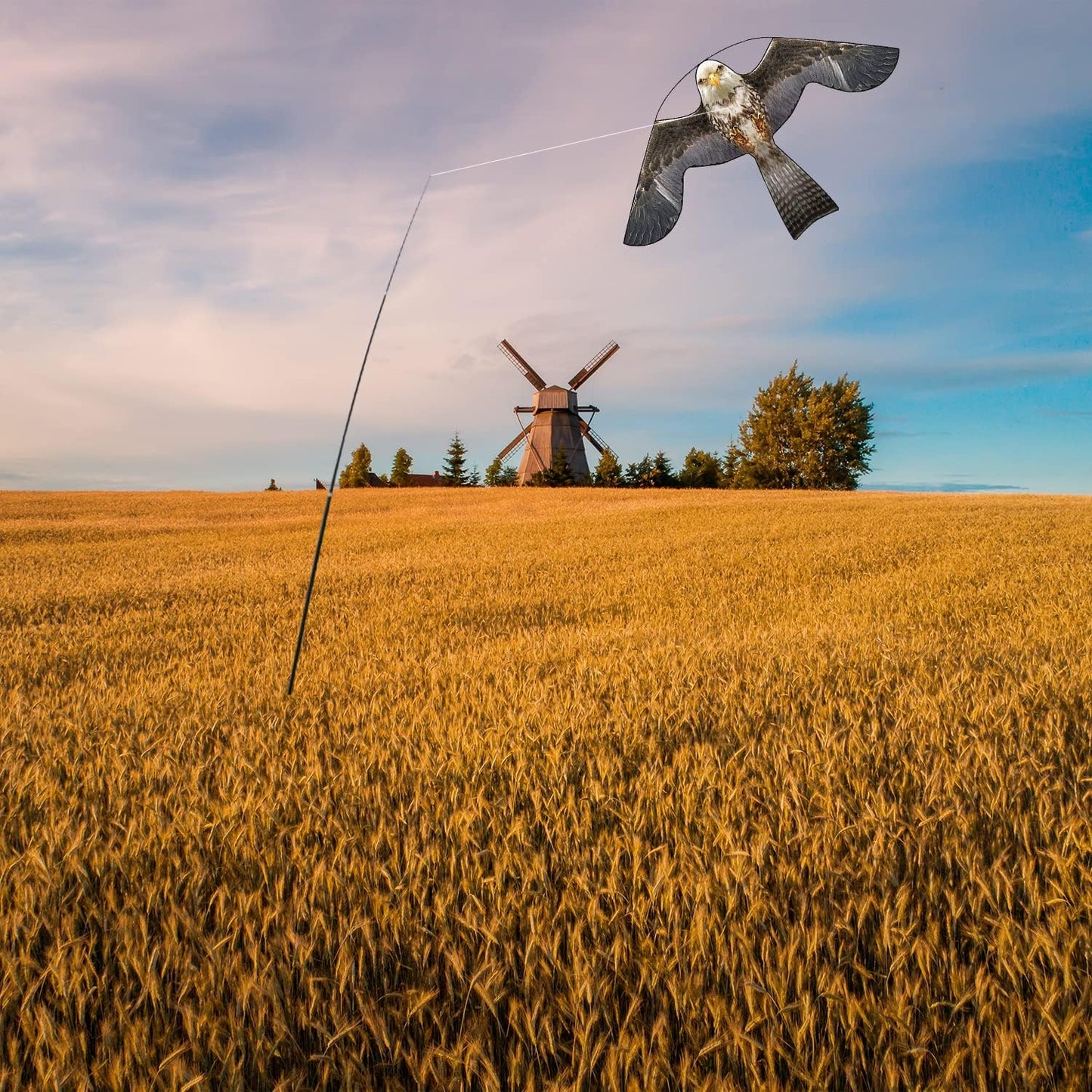 Bird Hawk Flying Kite for Crops Farm Protector Bird Scarer Kites Without Pole-Style B Kite