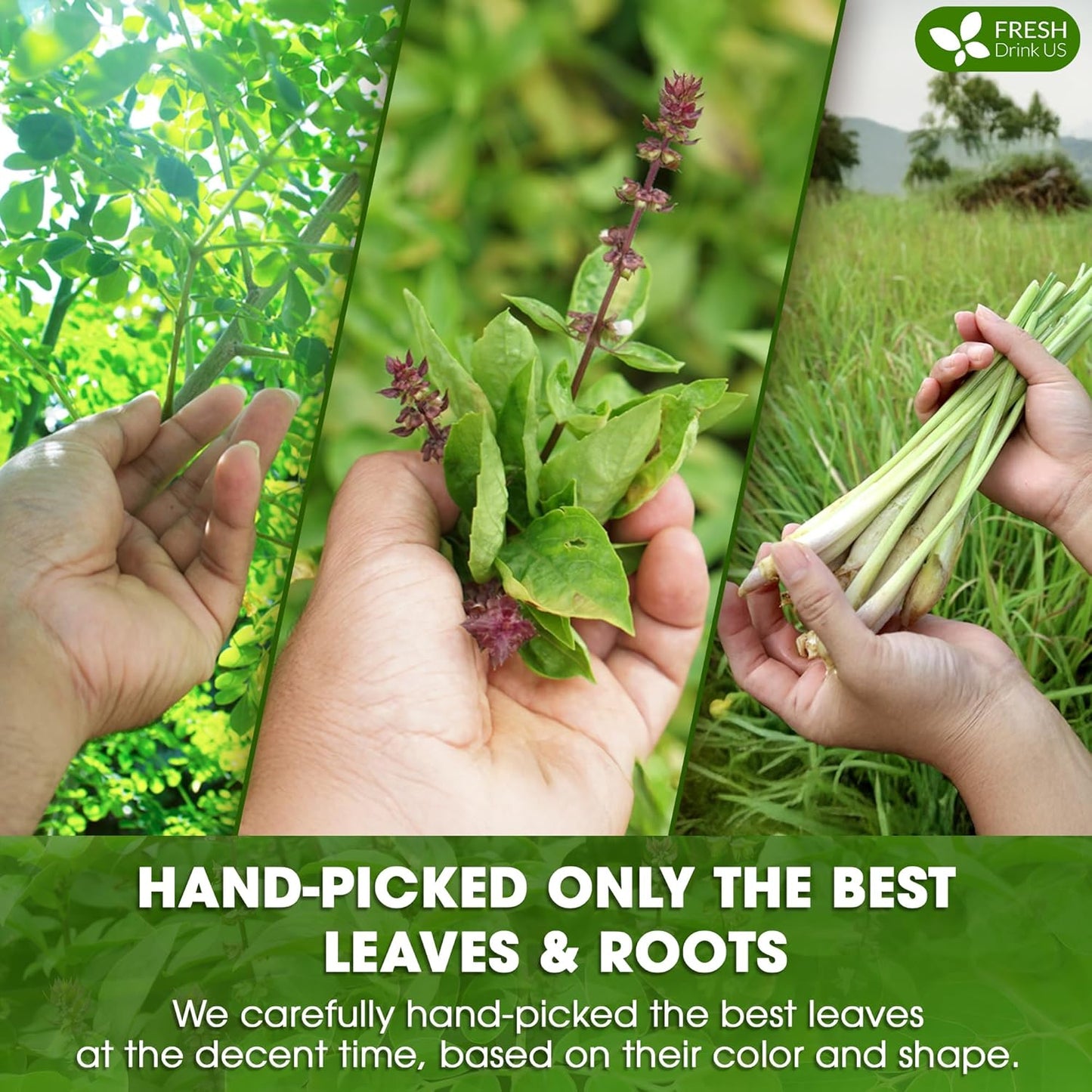 FreshDrinkUS, Premium 135 Tea Bags Tulsi Moringa Lemongrass, 100% Natural & Pure from Tulsi Holy Basil Leaves, Moringa & Lemongrass. Made with Natural Material Tea Bags. No Sugar, No Caffeine, Vegan.