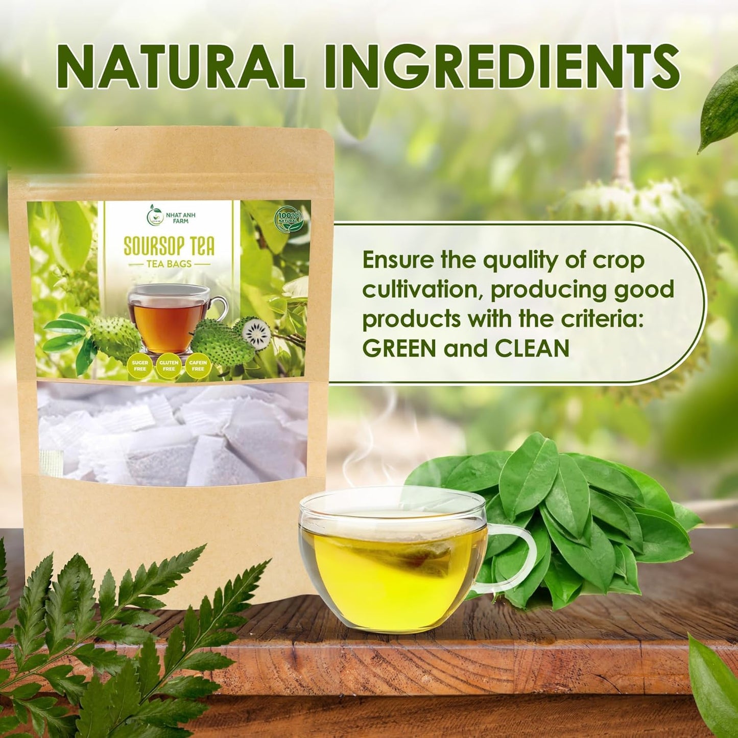 NHAT ANH FARM - Soursop Leaf Tea 100 Bags – Herbal Loose Leaf in Tea Bags - Sugar/Caffeine/Gluten Free. Supports Cardiovascular & Immune Health.