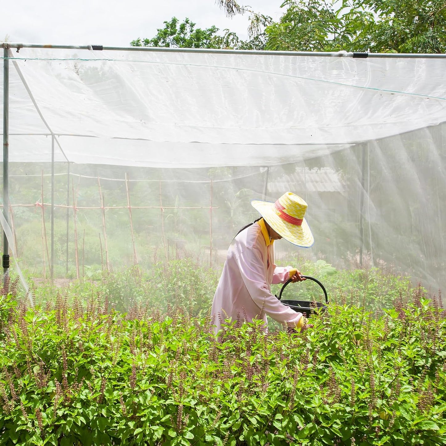 Woanger 4 x 100 ft Garden Mesh Netting Ultra Fine Plant Covers Garden Netting to Protect Vegetable Plants Fruits Flowers Crops Greenhouse Row Cover Patio Barrier Screen Protection Net (White)