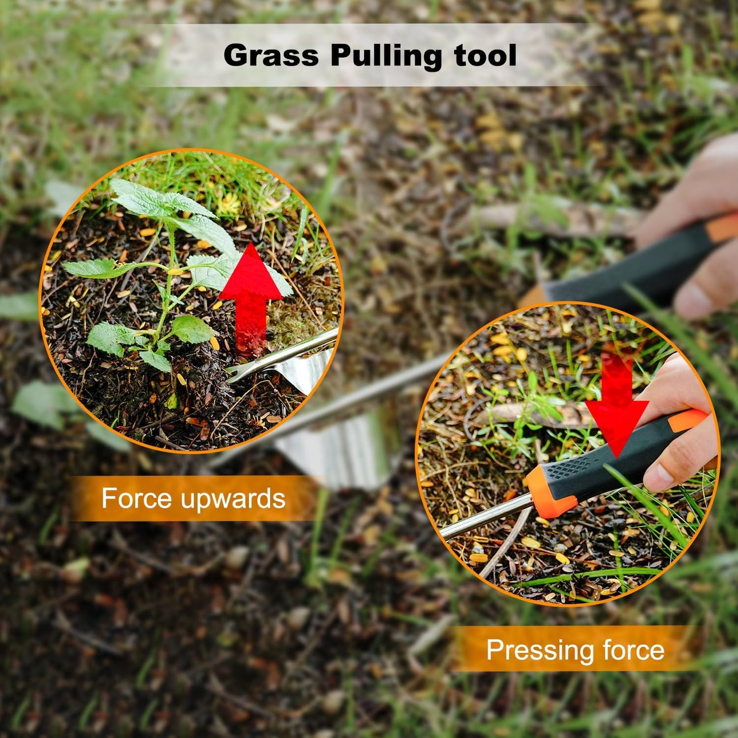 Weed Puller Tool Hand Weeder for Lawn Garden Cracks Stainless Steel Weed Remover with Ergonomic Beechwood Handle Manual Weeder