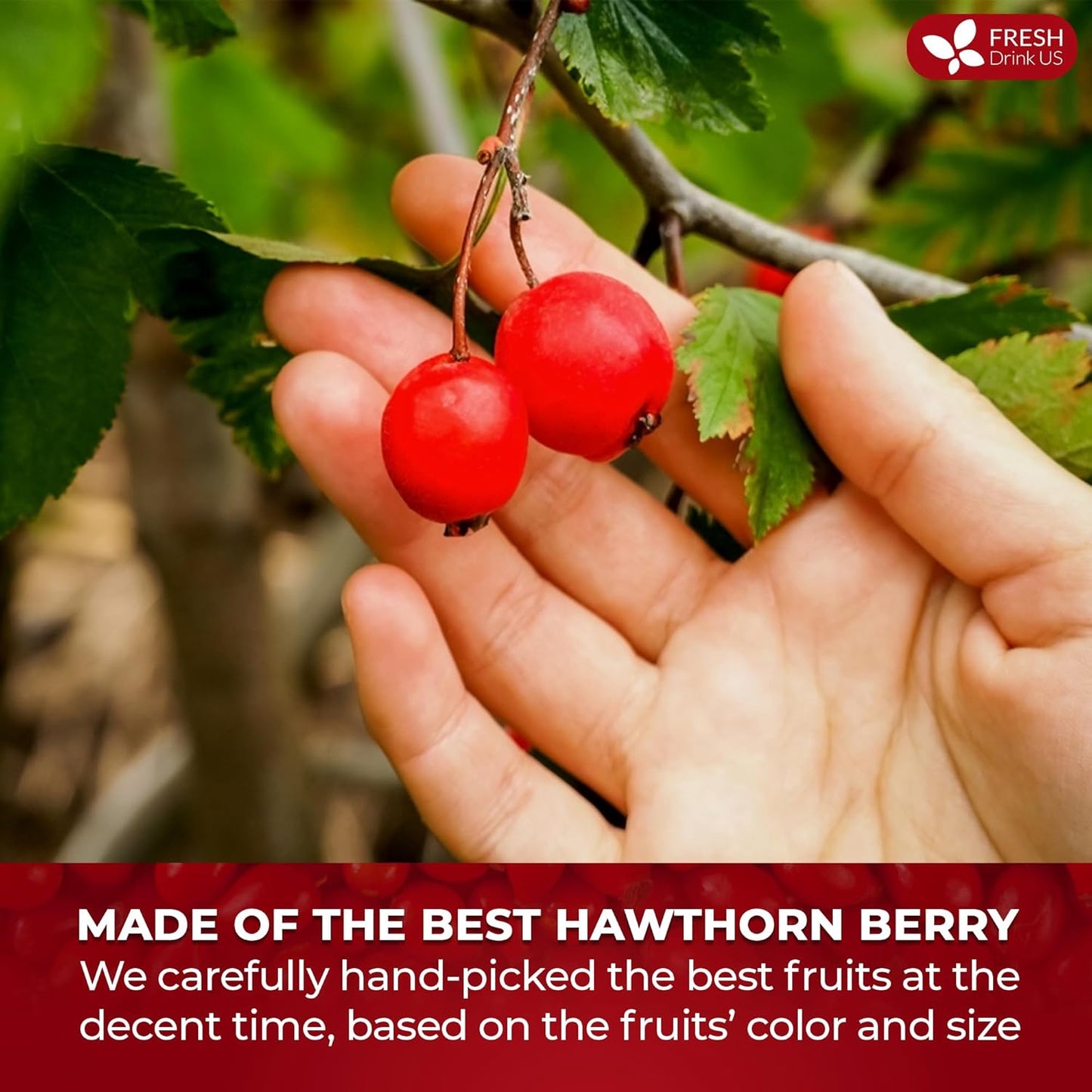 FreshDrinkUS, 16oz Premium Dried Hawthorn Berries ā All-Natural, Non-GMO, Perfect for Tea, Smoothies, Baking & Snacking ā Healthy, Versatile Superfood