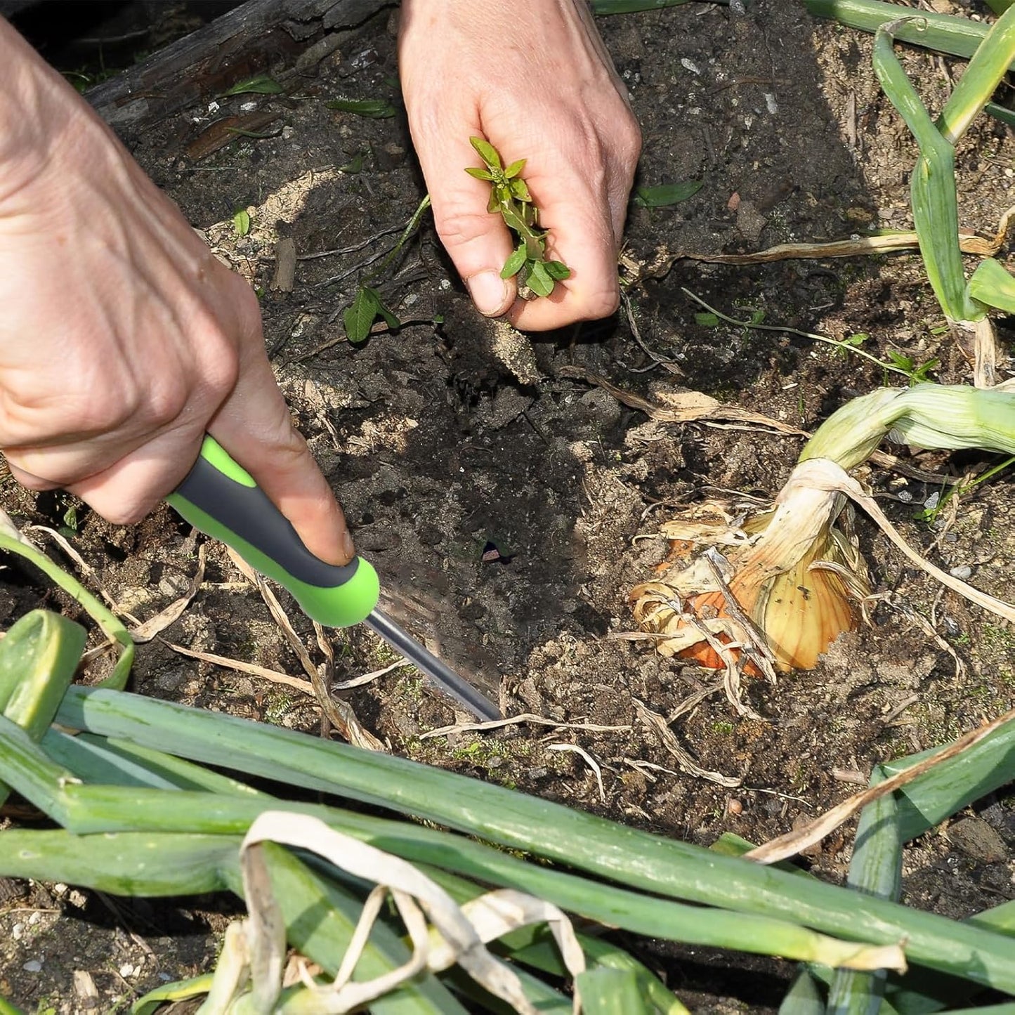 Weed Puller Tool Hand Weeder Dandelion Weeder Tool with Ergonomic Handle, Stainless Steel Manual Weed Puller Bend