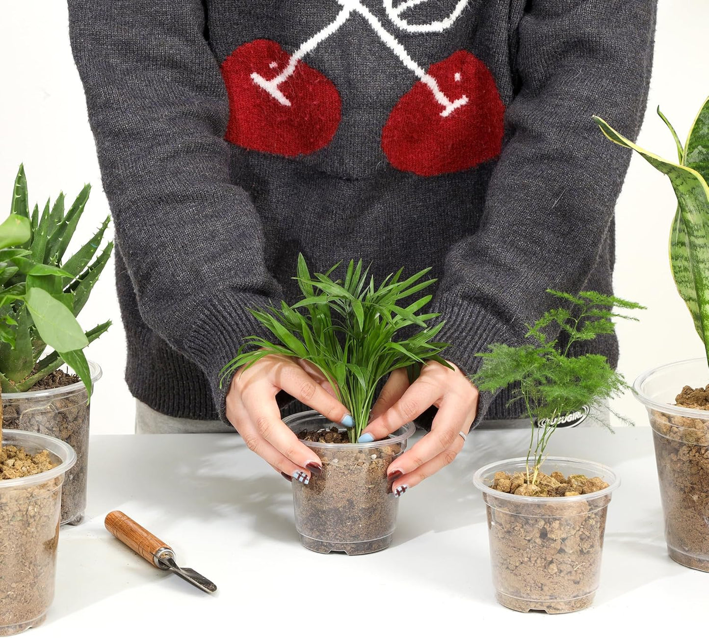 60 Pack 4 Inch Clear Nursery Pots with Drainage Holes, Transparent Plastic Plant Pot, Reinforced Seed Starter Pots Flower Pots Come with 50pcs Plant Labels