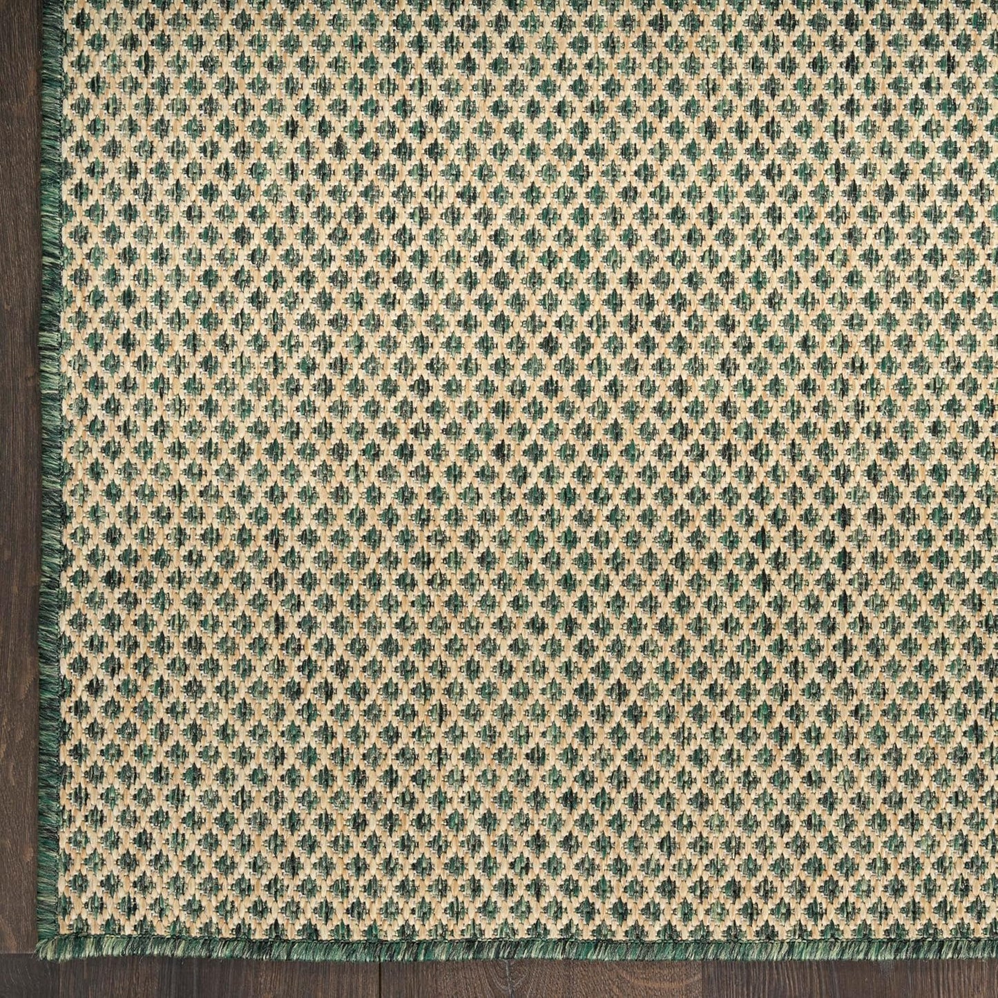 Nourison Home Courtyard Green 4' x 6' Area Rug - Easy Clean, Non Shedding, Bed Room, Living Room, Dining Room, Kitchen (4' x 6')