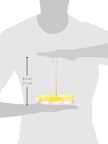 Birds Choice Flutterby Butterfly Feeder – Outdoor Feeder with 12 oz. Nectar Capacity and Fruit Trays, Includes Brass Hanging Rod