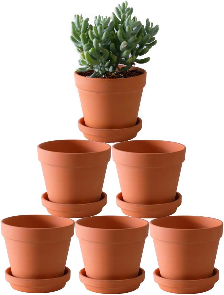 Terra Cotta Pots with Saucer- 6-Pack Large Clay Pots 5.5'' Ceramic Pottery Planter Cactus Flower Succulent Pot with Drainage Hole- Great for Plants,Crafts terra cotta planter