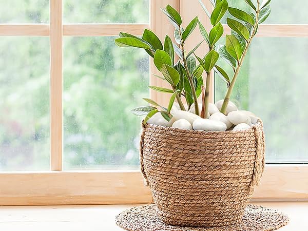 2 lbs Polished White Pebbles for Pebbles, 1-2 Inch Smooth White River Rocks for Plants Potted Vases Fillers Fish Tank Landscaping and Outdoor Garden Decorative Rocks