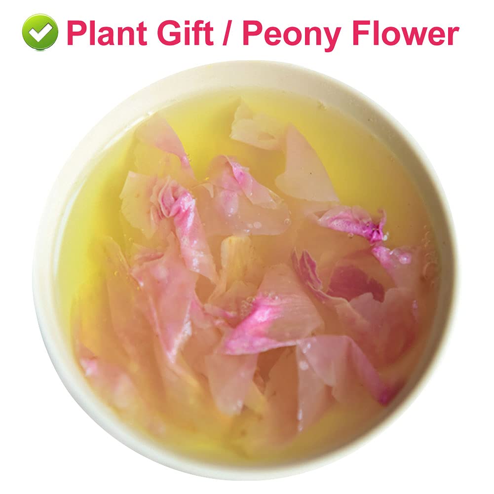 Plant Gift 100% Natural Herbaceous Peony Tea 30g /1oz Pink Peony Bud Flower Tea