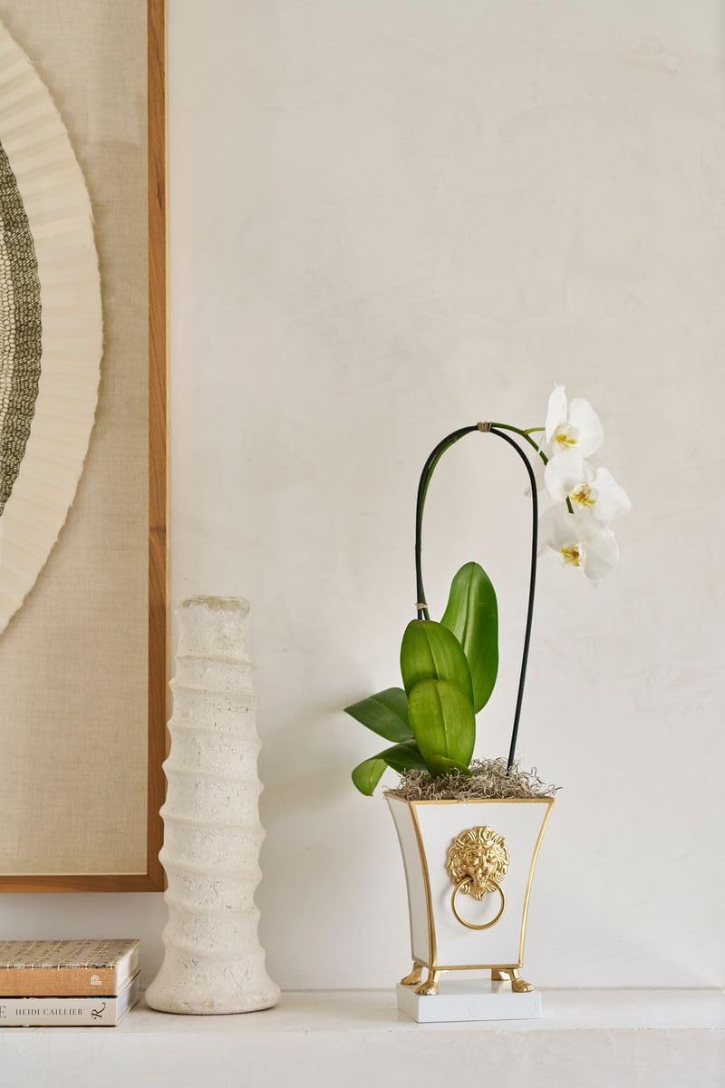 Jaye's Studio Regency Line, Paws & Claws, Decorative Square Cachepot & Planter, Gold Trim & Finish, Hand-Painted, Handcrafted Metal, Luxury Indoor Planter, Size 5x5x9 (White)