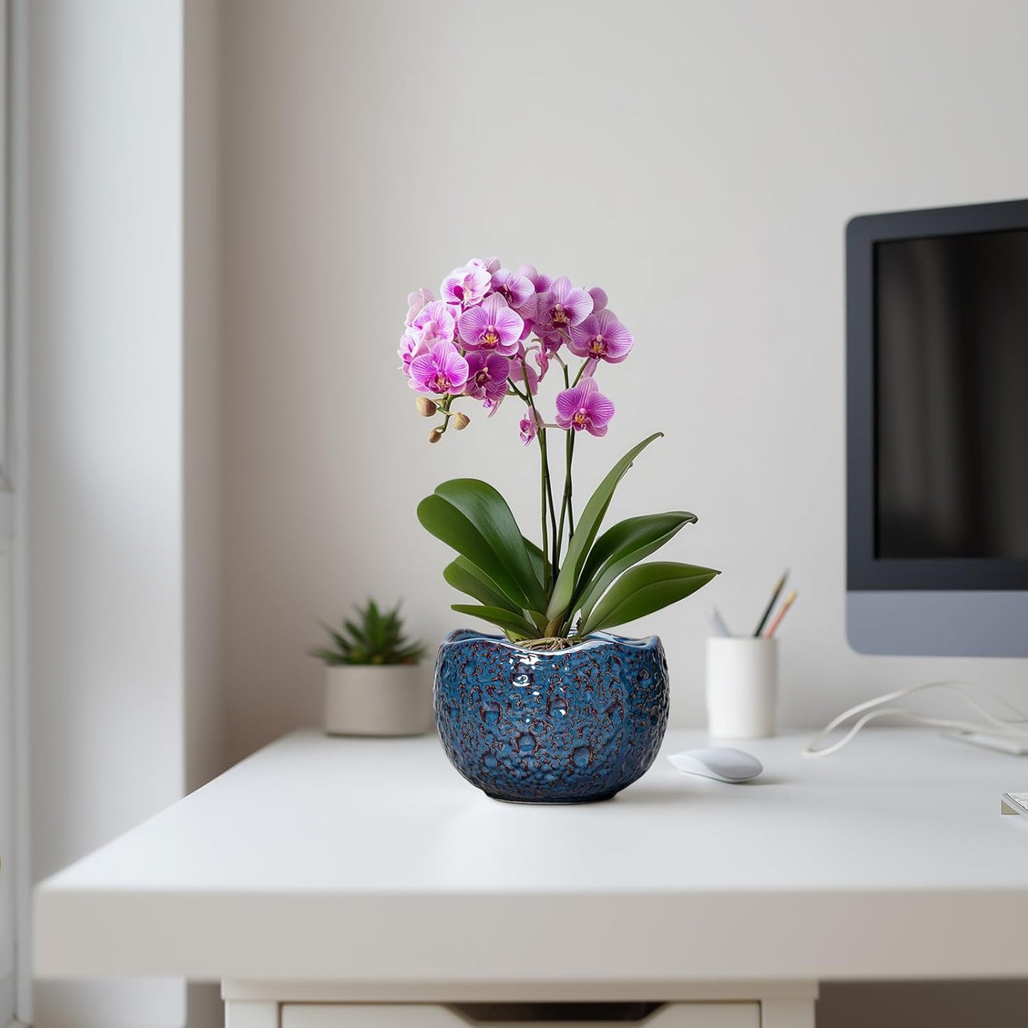 6 Inch Plant Pot - Ceramic Pots for Plants with Drainage Hole, Round Orchid Pot, Unique Planter for Indoor Outdoor, Modern Decorative Flower Pots, Room Decor, Plant Lovers Gifts, Retro Blue