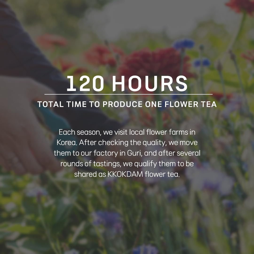 KKOKDAM Fruit & Flower Tea Sampler - Loose Leaf Korean Tea - Fancy Gifts - Premium Loose Leaf Tea Sampler - Perfect as Unique Womens' Gift