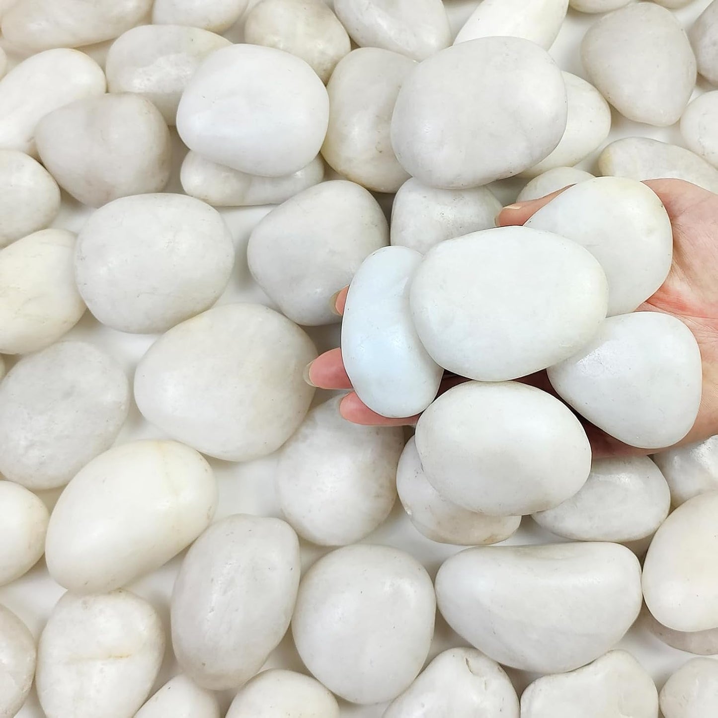 20 lbs White River Rocks for Landscaping, 2-3 inch Large Pebbles for Plants, Decorative Stones for Planters Vase Aquarium and Outdoor Garden Rocks