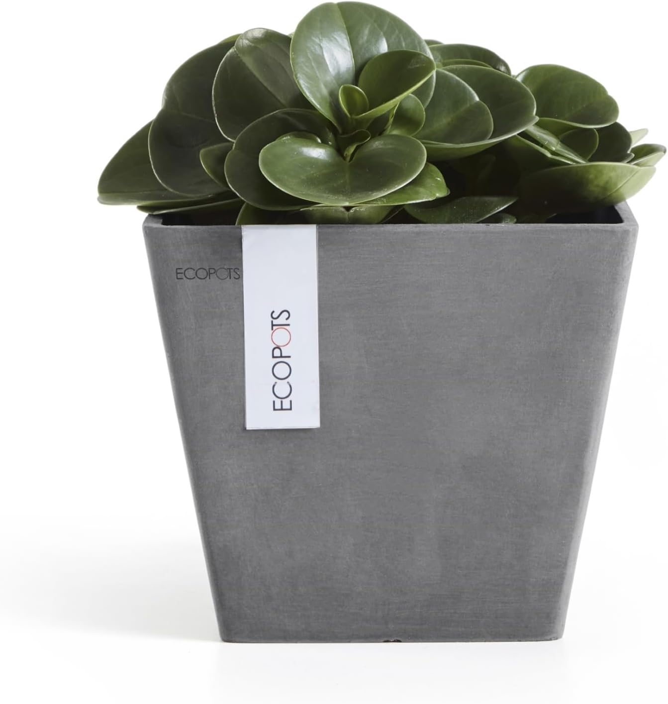 Ecopots Rotterdam Durable Modern Square Indoor/Outdoor Recycled-Based Composite Flower Planter, Grey, 8"