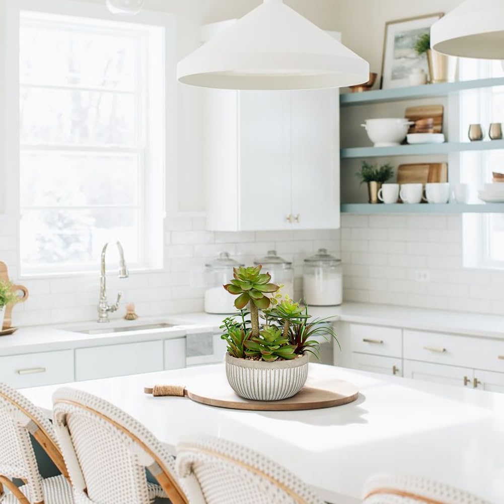 DILATATA Small Faux Plant Assorted Fake Succulents Plants Faux Succulents Arrangement Cement Potted Desk Plants Small Fake Plants for Home Table Office Bathroom Shelf Living Room Decor