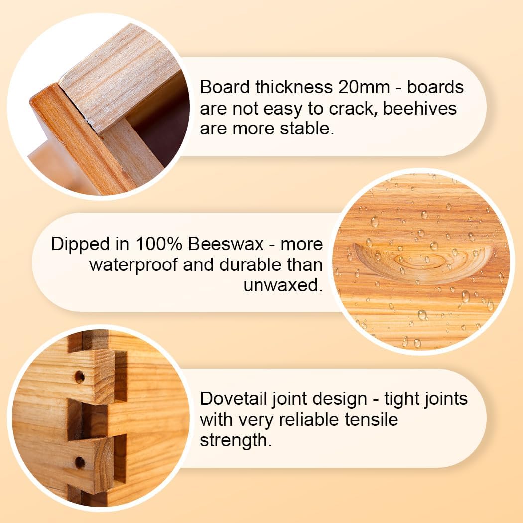10 Frame Bee Hive Box, Langstroth Medium Super Bee Box Dipped in 100% Beeswax Include Beehive Frames and Waxed Foundation Sheets (Unassembled)