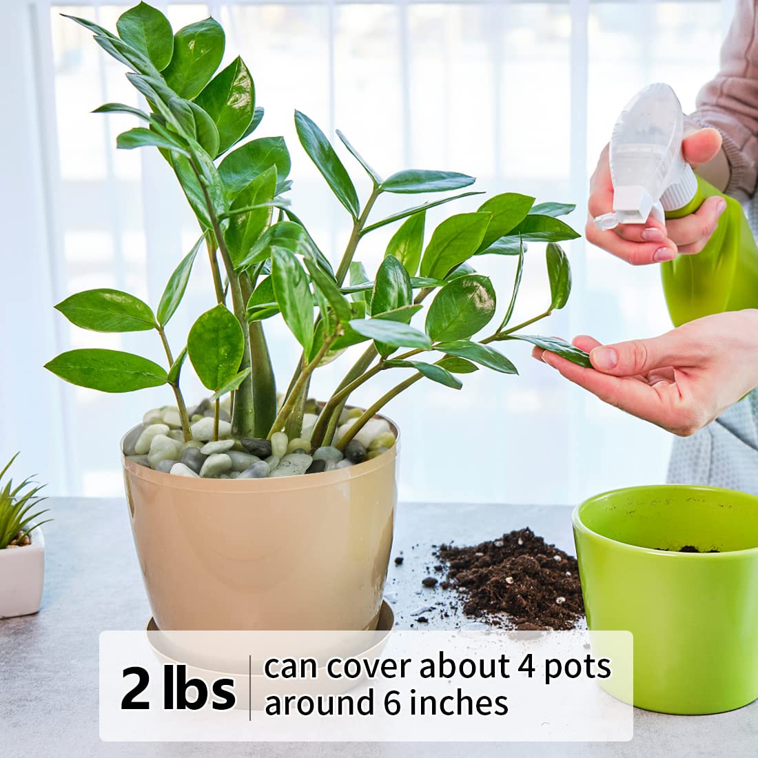 2LB Succulent and Cactus Jade Pebbles, 3/8 Inch Natural Decorative Polished Stones, River Rocks for Indoor Plants, Vases, Planters and Outdoor Gardening