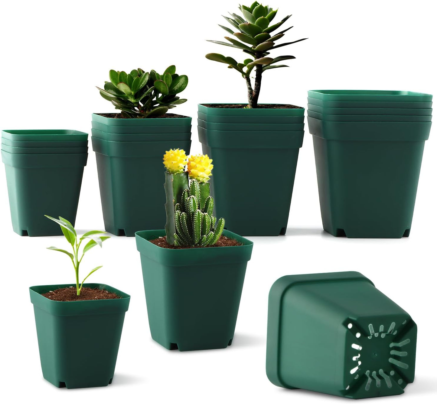 Square Nursery Pots Clearance (2.7", 3", 3.5", 4") with Drainage Holes 20 Pcs, Plastic Seed Starting Pots, Sturdy and Durable Seedling Pots for Planting, Cuttings and Transplanting, Green