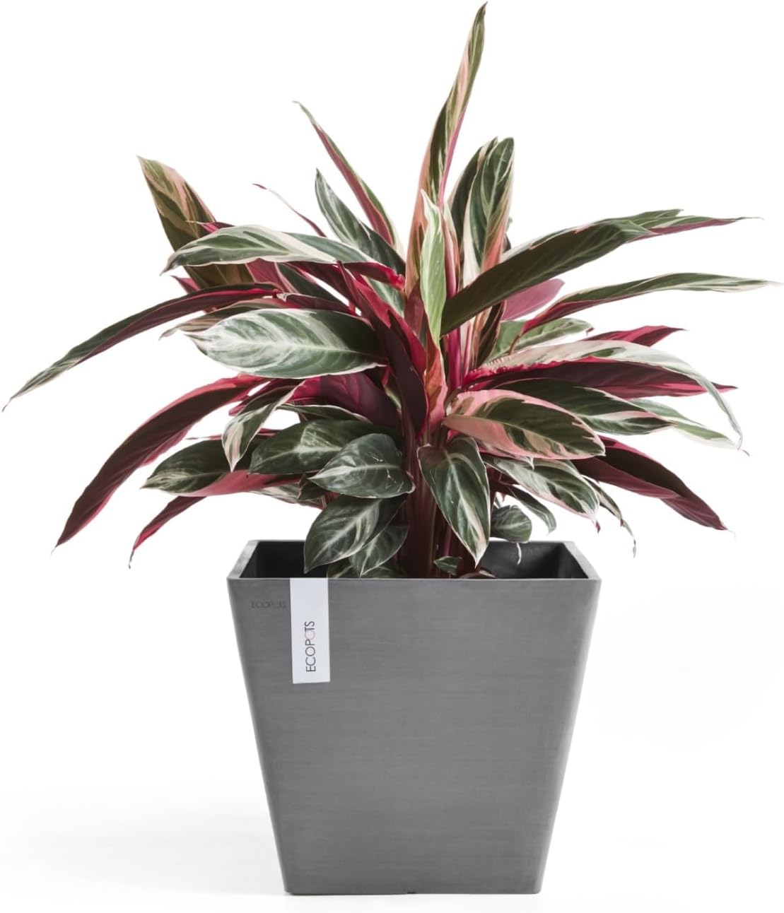 Ecopots Rotterdam Durable Modern Square Indoor/Outdoor Recycled-Based Composite Flower Planter, Grey, 12"