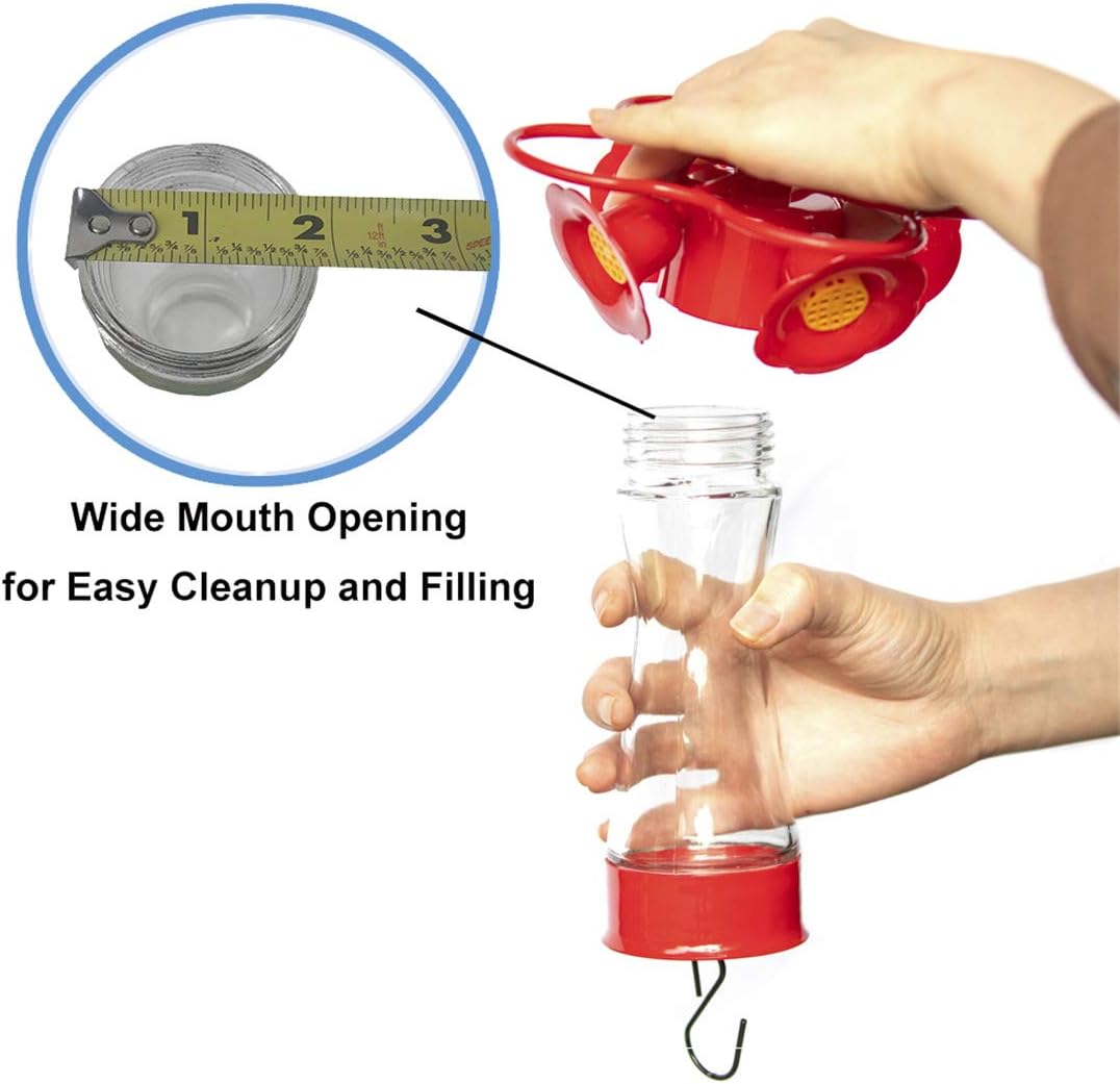 Nature's Rhythm Bird Feeder 4 bee Guard Plastic Feeding Port 8oz Glass Pinch Waist Hummingbird Feeder,1pcs