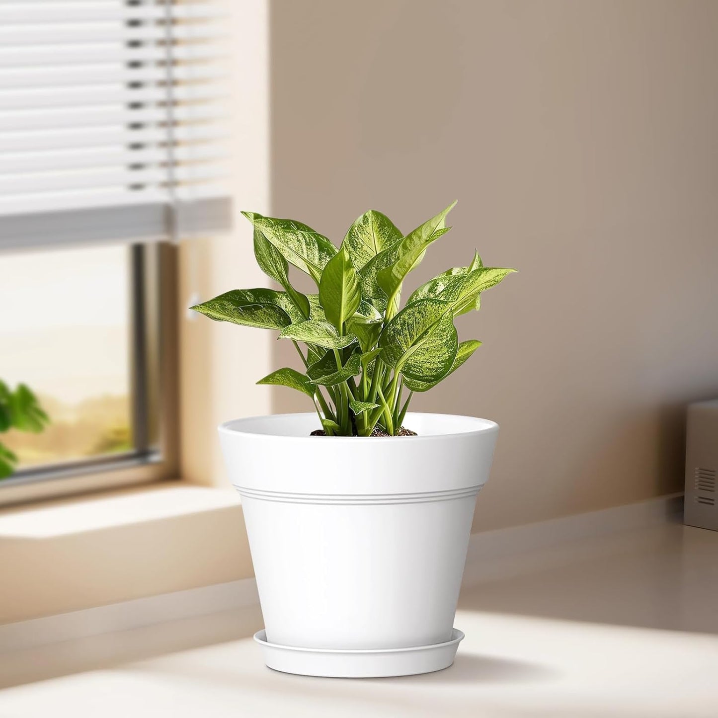 5 Inch Plastic Plant Pots with Drainage Holes and Trays – 6 Pack Small Nursery Pots for Indoor & Outdoor House Plants and Flowers, Seedling Starter Planters, Colorful