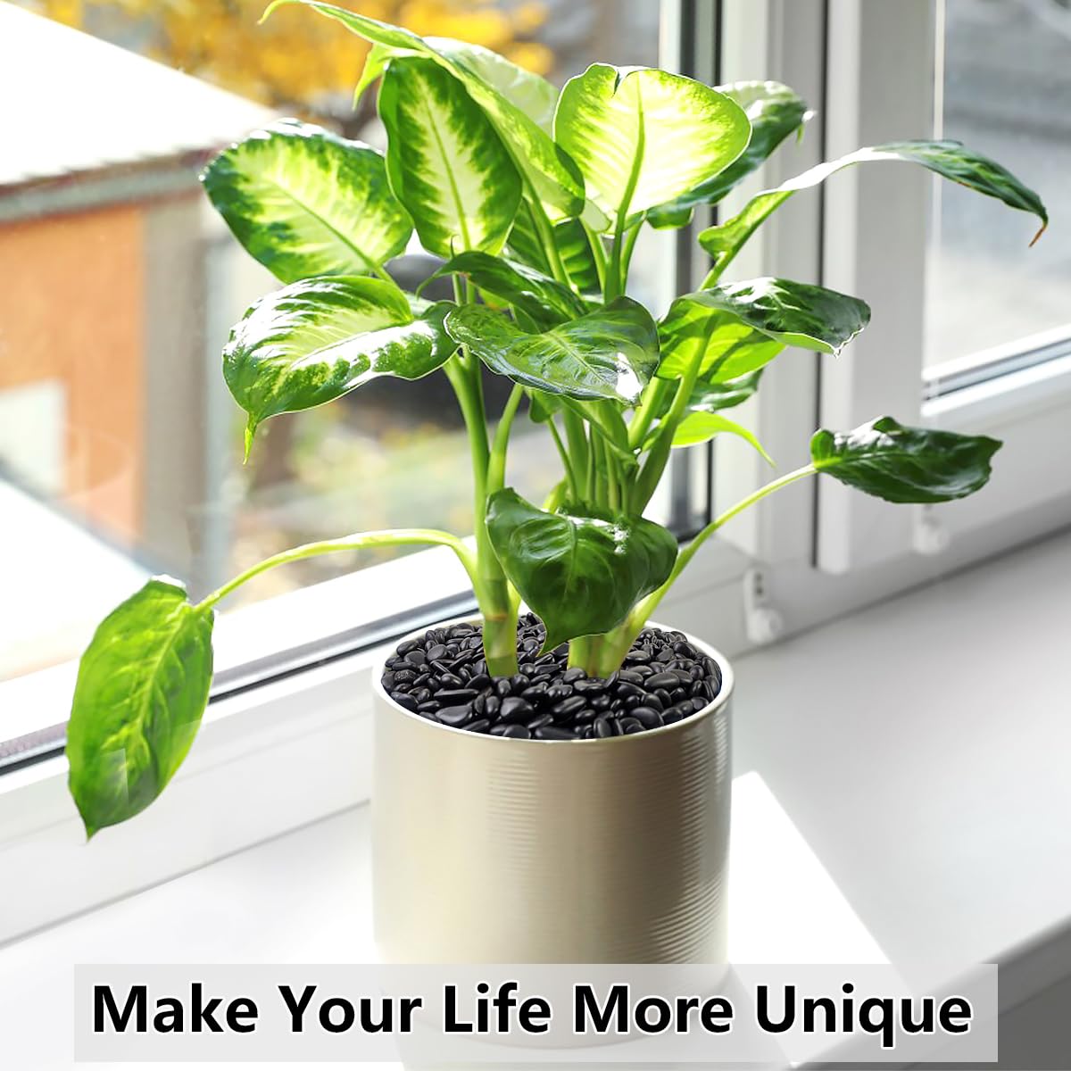 2LB Succulent and Cactus Black Pebbles, 3/8 Inch Natural Decorative Polished Stones, River Rocks for Indoor Plants, Vases, Planters and Outdoor Gardening