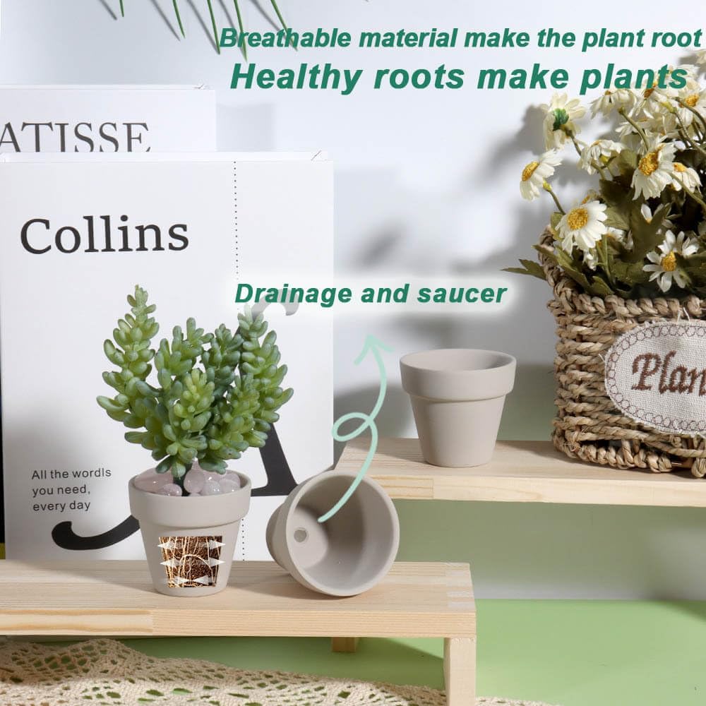 vensovo 48 Pcs 2" Tiny Terracotta & Terra Cotta Pots with Drainage - Grey Small Mini Clay Ceramic Pottery Planter Ideal for Indoor/Outdoor Plants, Crafts, Wedding Favors