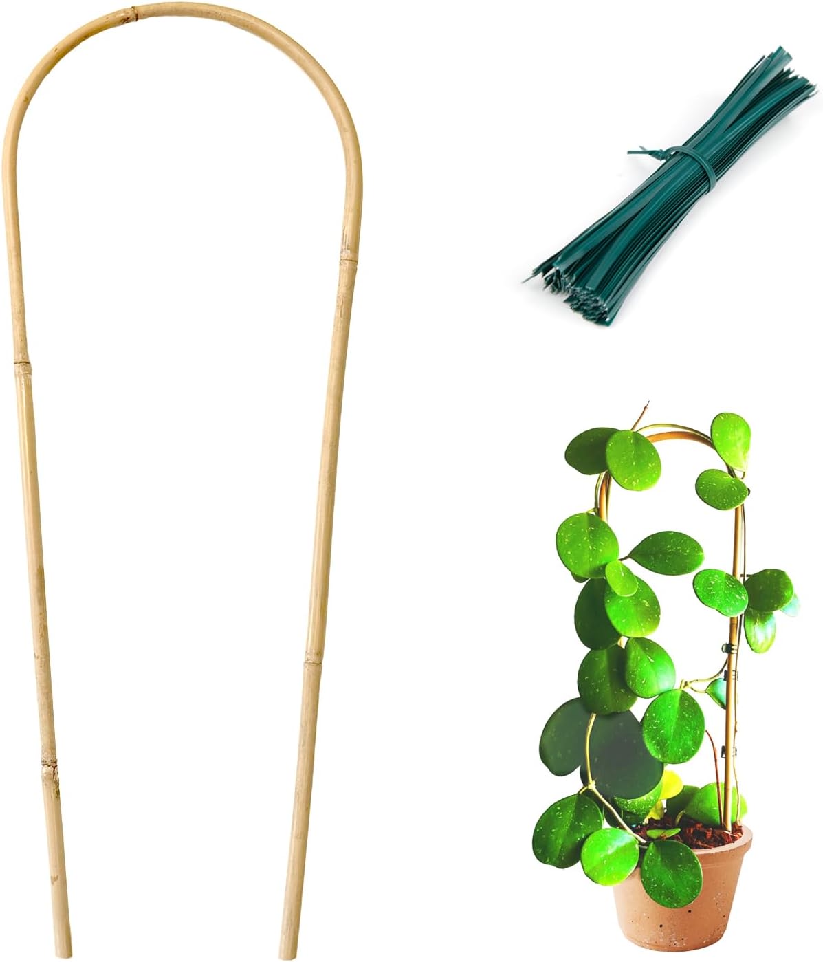 Indoor Plant Trellis for Climbing Plants 16in, 6 Pack Arch Bamboo Trellis for Potted Plants