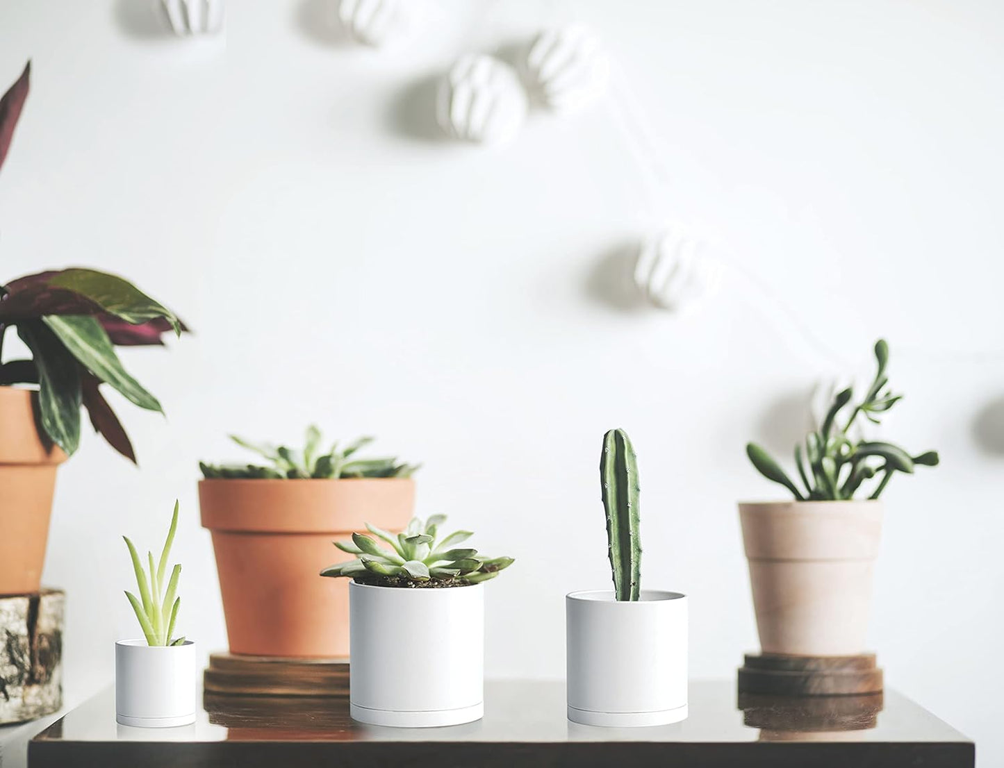 D'vine Dev Pack of 36 Plastic Plant Pots (12 Set of 2 Inch, 2.5 Inch, 3 Inch) Small Garden Planter Pots for Plant with Drainage Holes and Saucers, White, 74-T-A