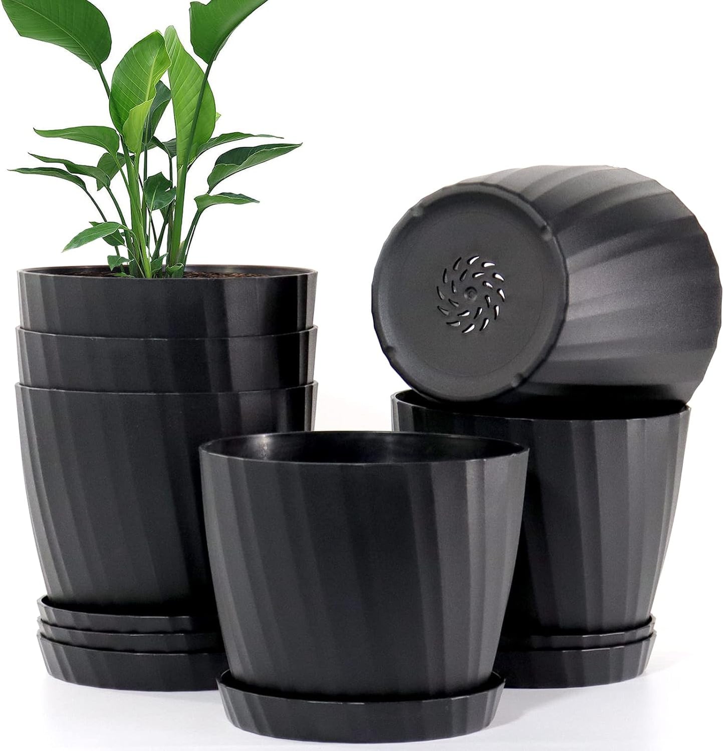 6 Inch Plant Pots Bulk, 6 Pack Plastic Planters with Drainage Holes and Saucers for Indoor Outdoor House Plants and Flowers, Black