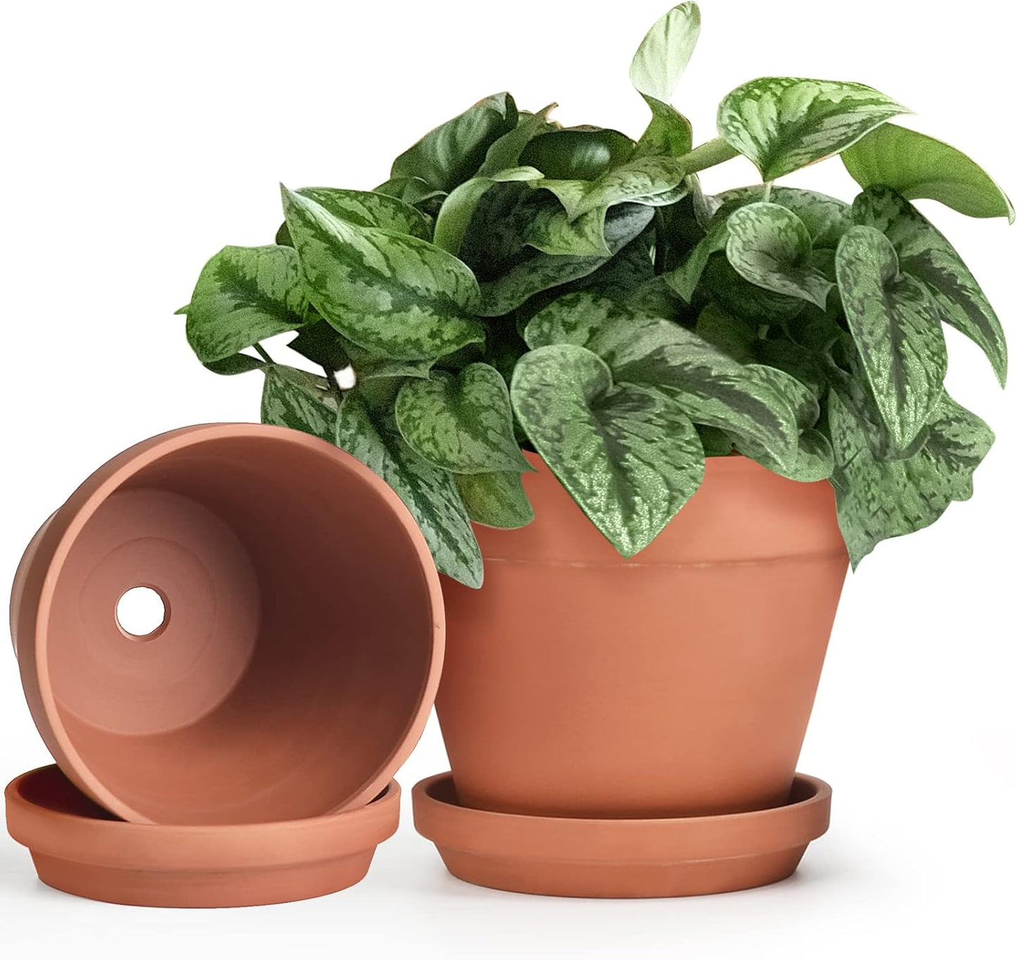 INGOFIN Terracotta Pots Set with Saucer - 2-Pack Ceramic Clay Planters with Drainage Hole, Garden Flower Succulent Pots with Tray for Indoor Outdoor Plants, 8 inch, Set of 2