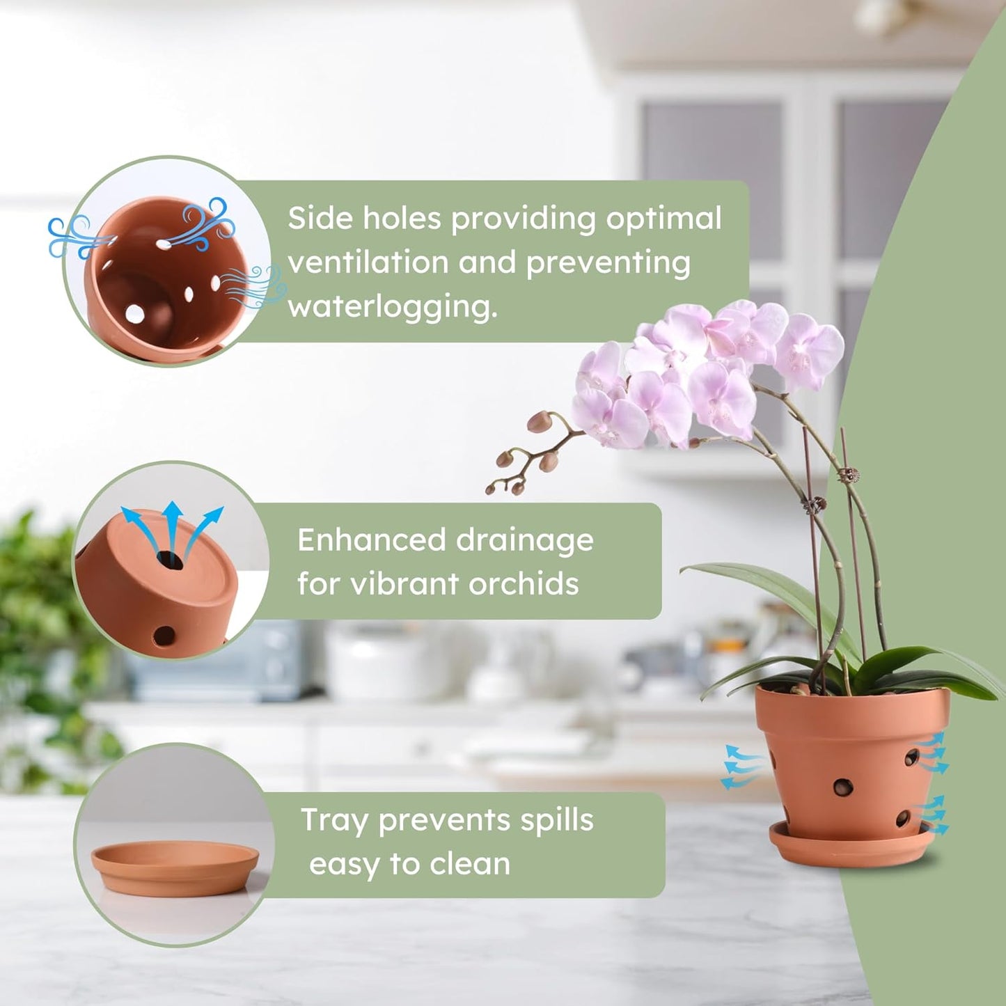 Clay Orchid Pots with Holes,Terracotta Orchid Pots with Drainage Holes & Saucer for Repotting 6 Inch, Orchid Planters for Indoor Plants