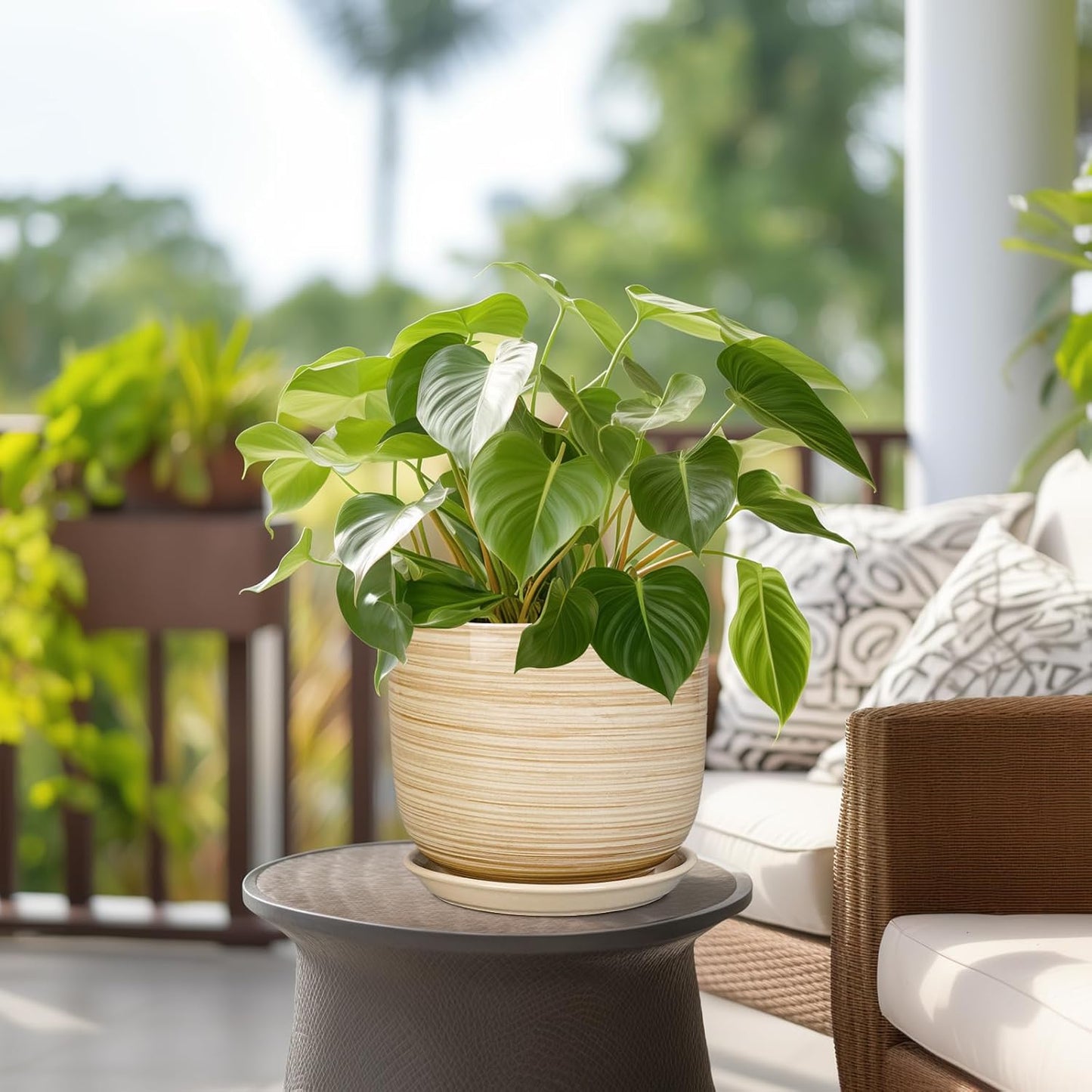 Indoor Plant Pot 8 Inch - Cylinder Modern Ceramic Planter for Indoor Outdoor Plants with Drainage Hole and Saucer, House Office Home Room Desk Decor, Yellow