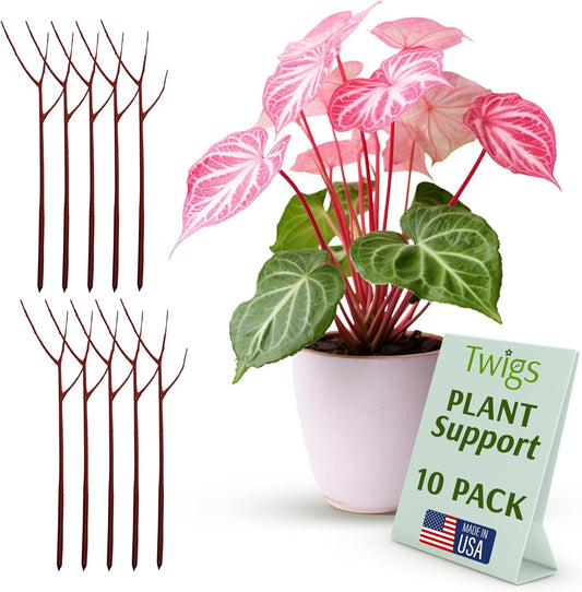 Plant Support Stakes, Stem Holder Structures for Indoor & Outdoor Use, Garden Accessories for Climbing & Potted Plants, Trellis Alternative - Begonia Red, 10 Pack, 22" L, Original