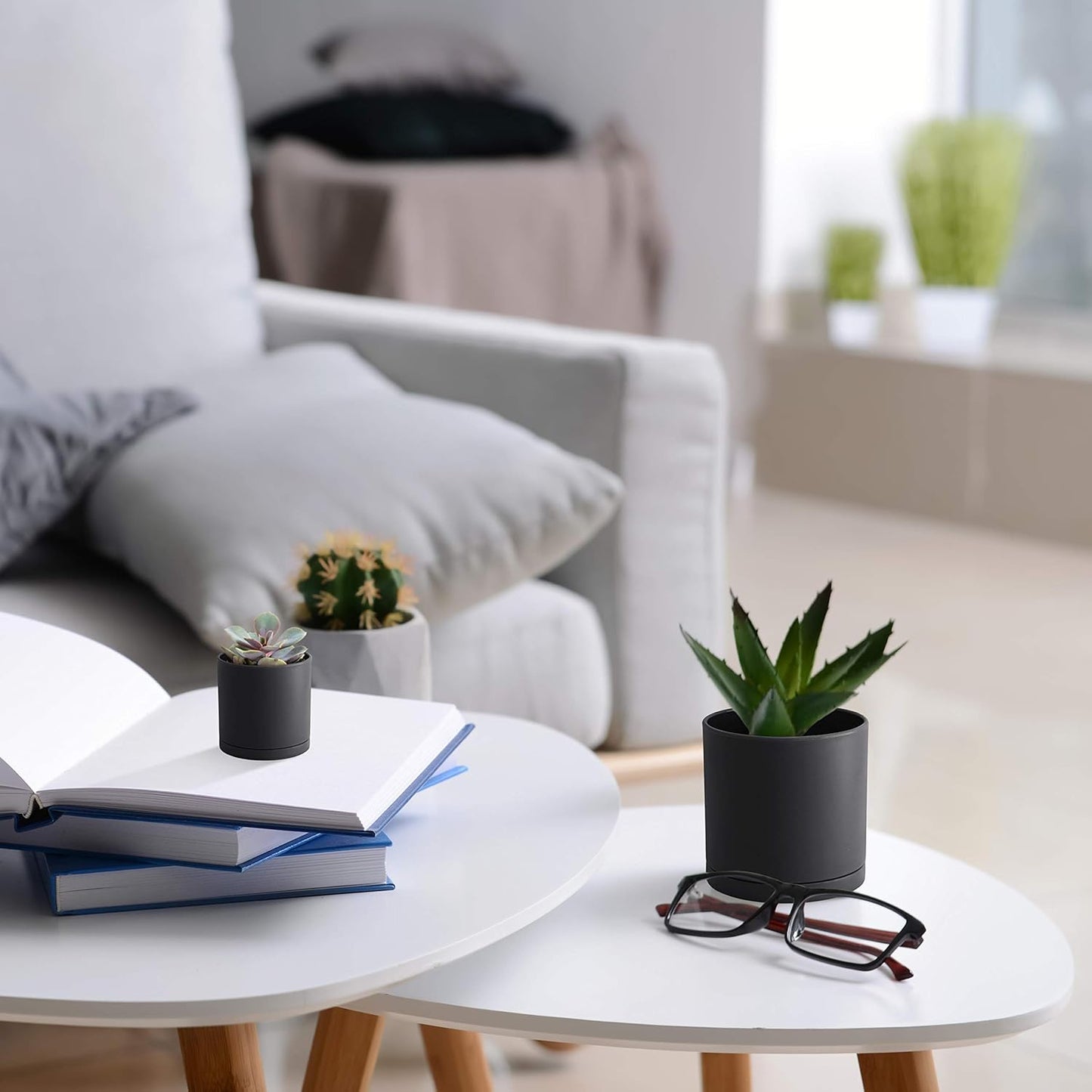 D'vine Dev Pack of 36 Plastic Plant Pots (12 Set of 2 Inch, 2.5 Inch, 3 Inch) Small Garden Planter Pots for Plant with Drainage Holes and Saucers, Black, 74-T-B