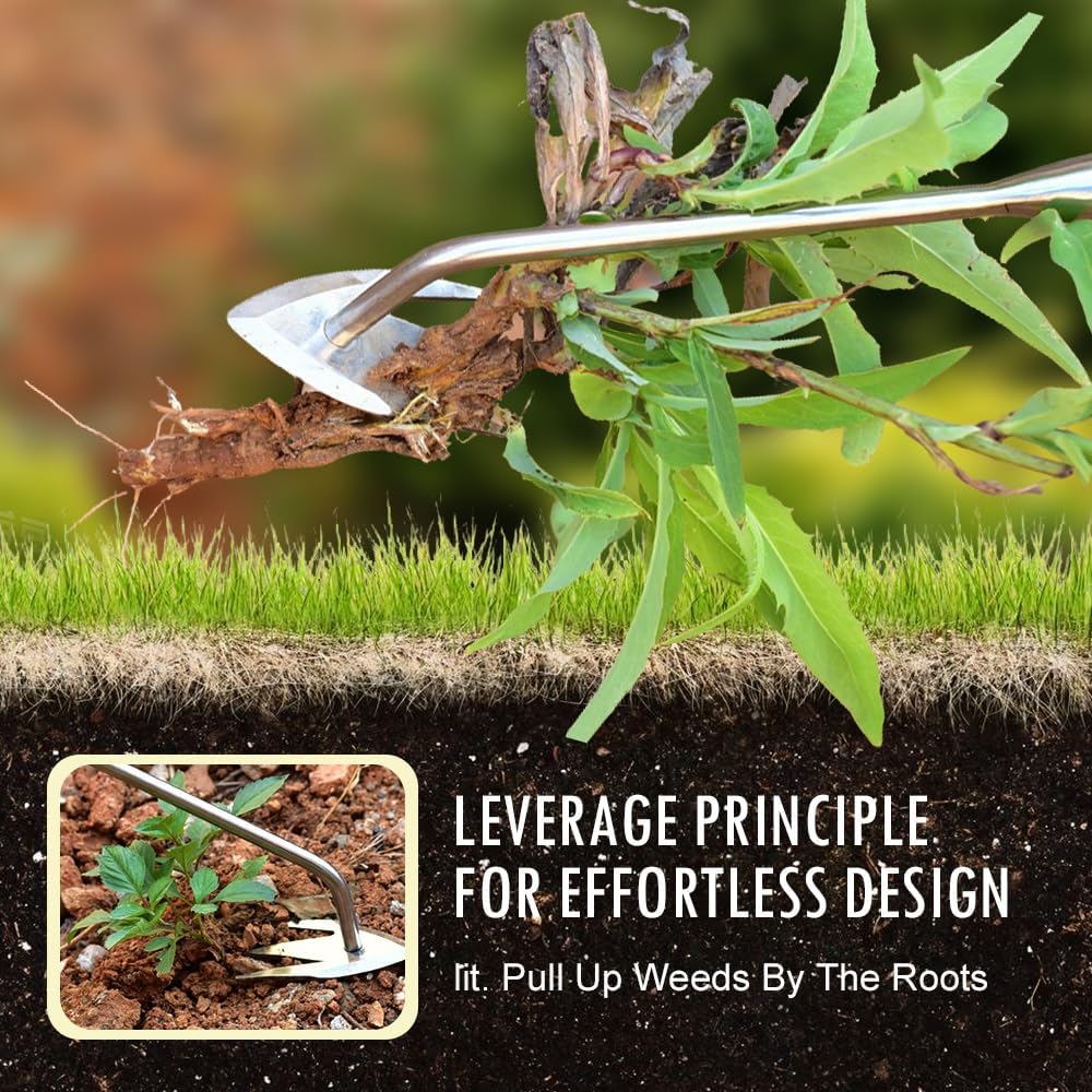 Manual Weed Remover Tool for Lawn and Garden, 2025 New Weeding Artifact Uprooting Weeding Tool,Weed Puller Tool 3 Tooth Manganese Steel for Gardening Backyard Farm (13in+14in)