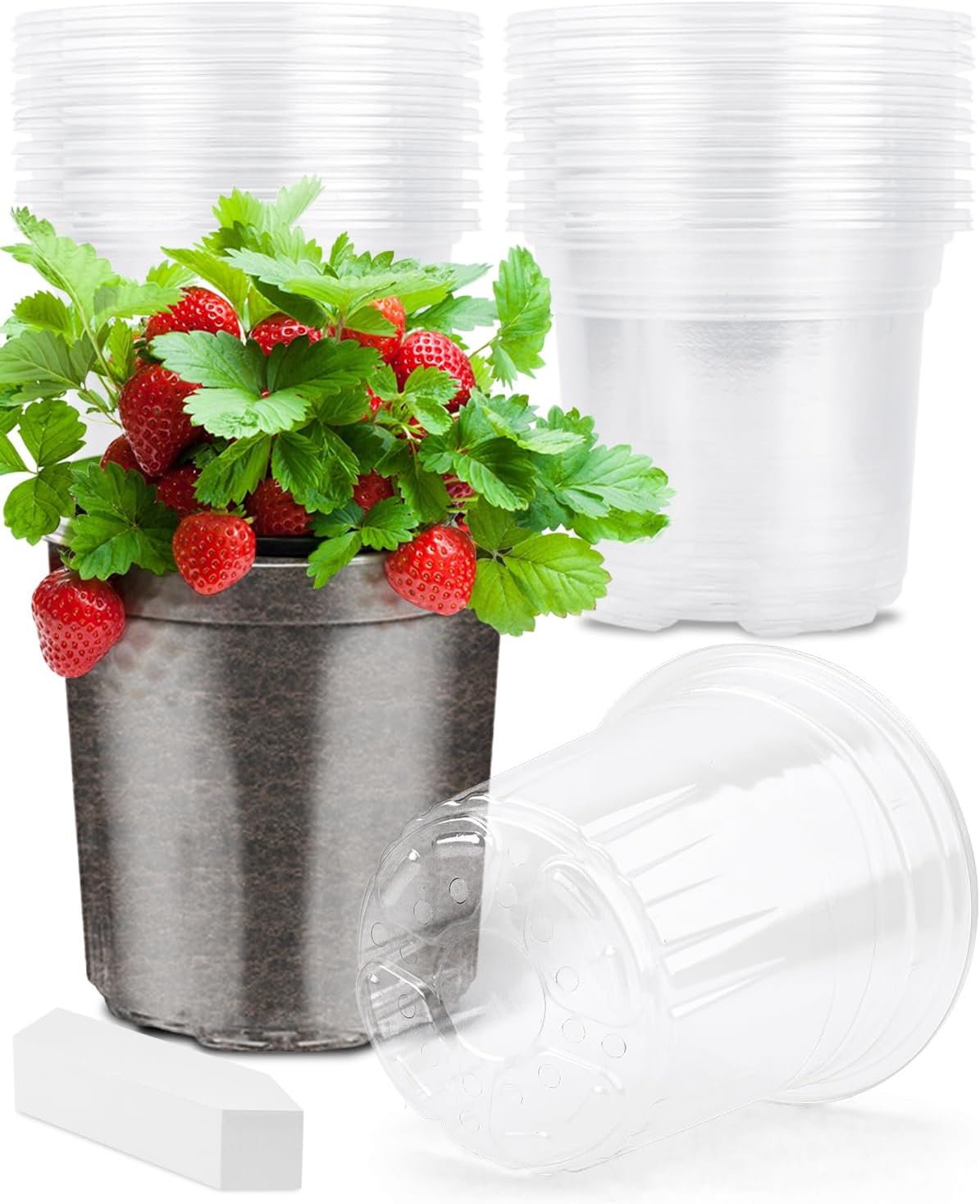 PACETAP 30Pack 5 Inch Reinforced Clear Nursery Pots with Drainage Holes, Variety Pack Plastic Plant Pots with 20 Plant Labels for Indoor Outdoor Flower Seed Starter