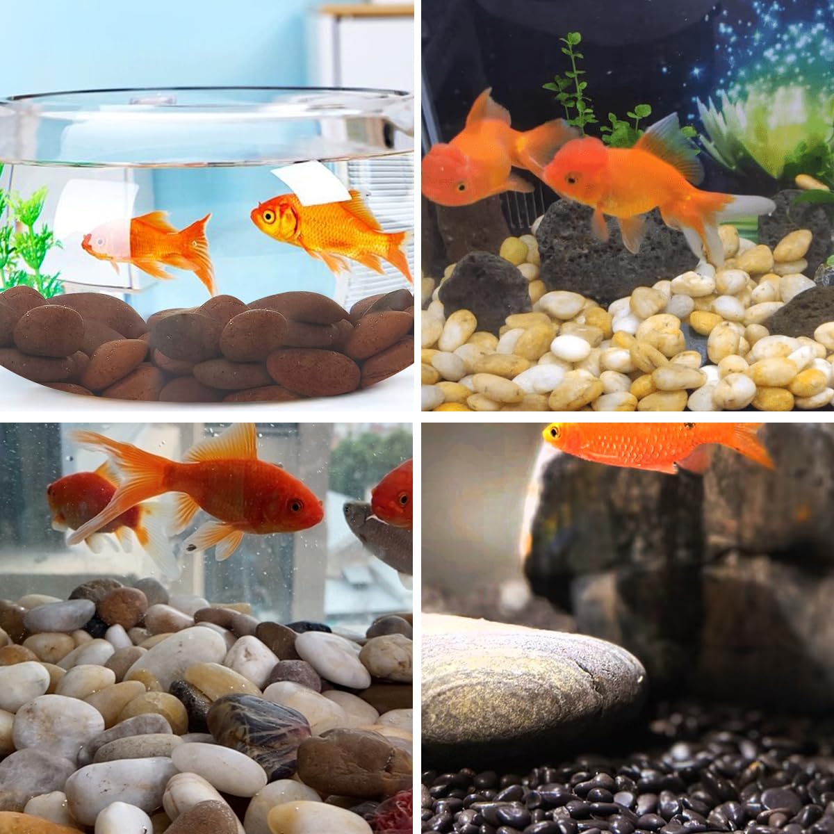 10lbs Red River Rocks, 2-3 Inch Natural Pebbles for Indoor Plants, High Polished Decorative Stones Vase Filler Fish Tank Aquariums Landscaping Garden