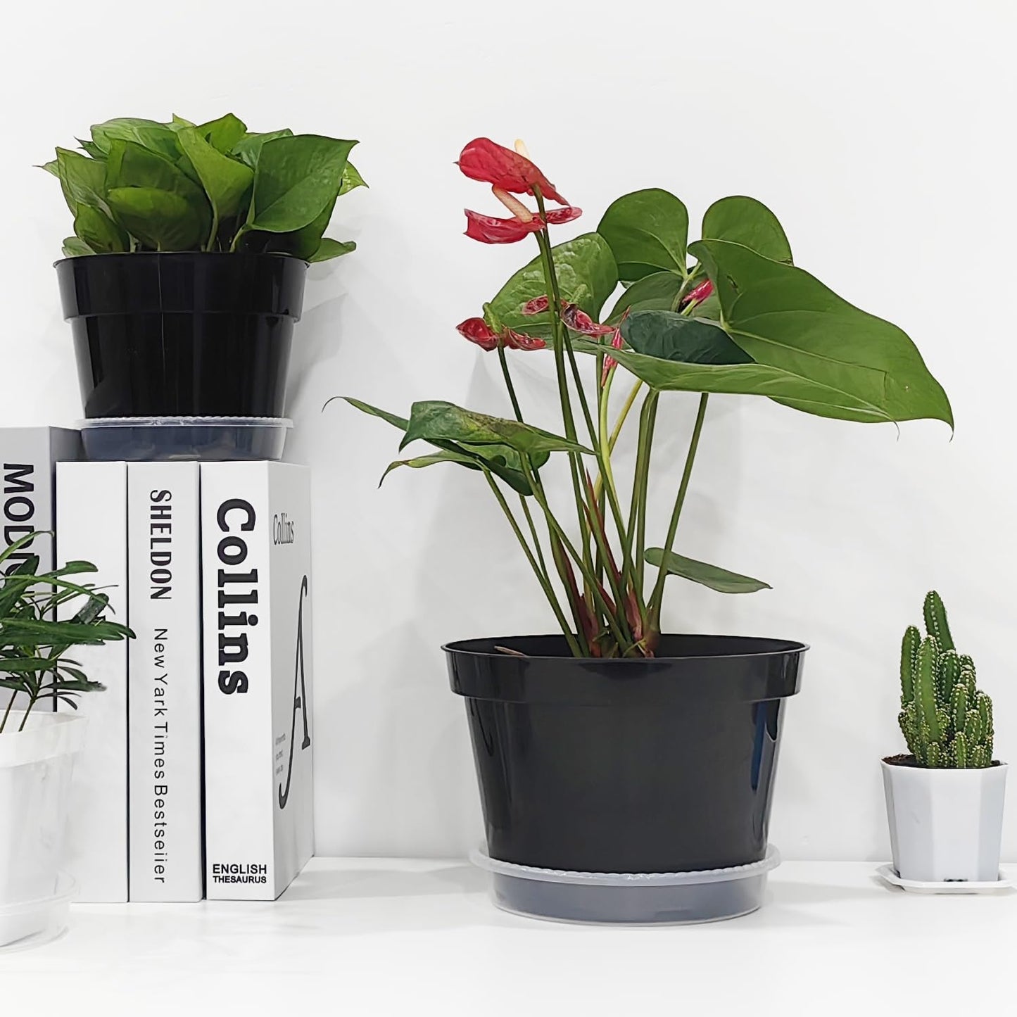 12 Pack Plant Pots, 8 Inch Plant Planter with Clear Saucer, Plastic Pots for Plants Indoor and Out Door Such as Strawberry, Herb and Flowers (Black)