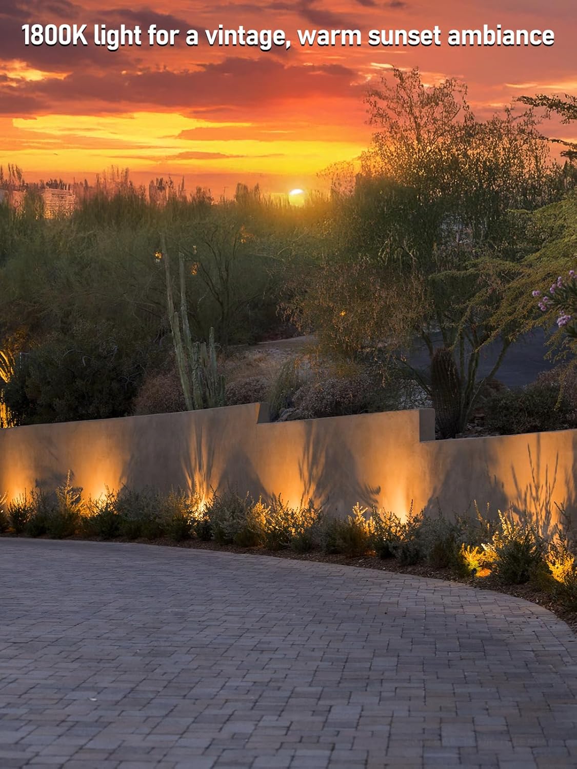 LEONLITE 8-Pack 5CCT Low Voltage LED Landscape Spotlight, Update 1800K2700K3000K4000K5000K Selectable, 5W 12V Pathway Lights Outdoor, CRI90, Aluminum Spot Lights for Yard, ETL Listed, IP65 Waterproof