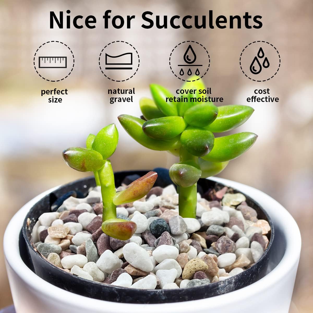 2 lbs Natural Mixed Color Pea Gravel Pebbles, 3/8 inch Decorative Rocks for Succulents, Pebbles for Indoor Plants, Vases, Aquarium Gravel, Top Dressing, Outdoor Decorative Stones