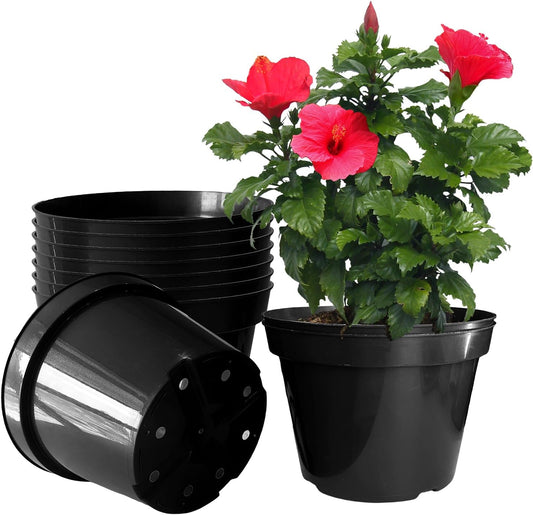 10 Inch Plastic Nursery Pots for Plants 10 Pack Plant Pots with Drainage Holes 2 Gallon Nursery Pots Perfect for Indoor Outdoor Plants Such as Herbs, Strwaberrys and Flowers, Black