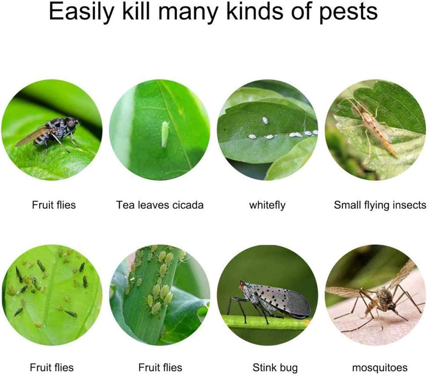 Faicuk Yellow Dual-Sided Sticky Fly Traps for Plant Insect Like Aphids, Fungus Gnats, Leaf Miners and White Flies (30 Pack)