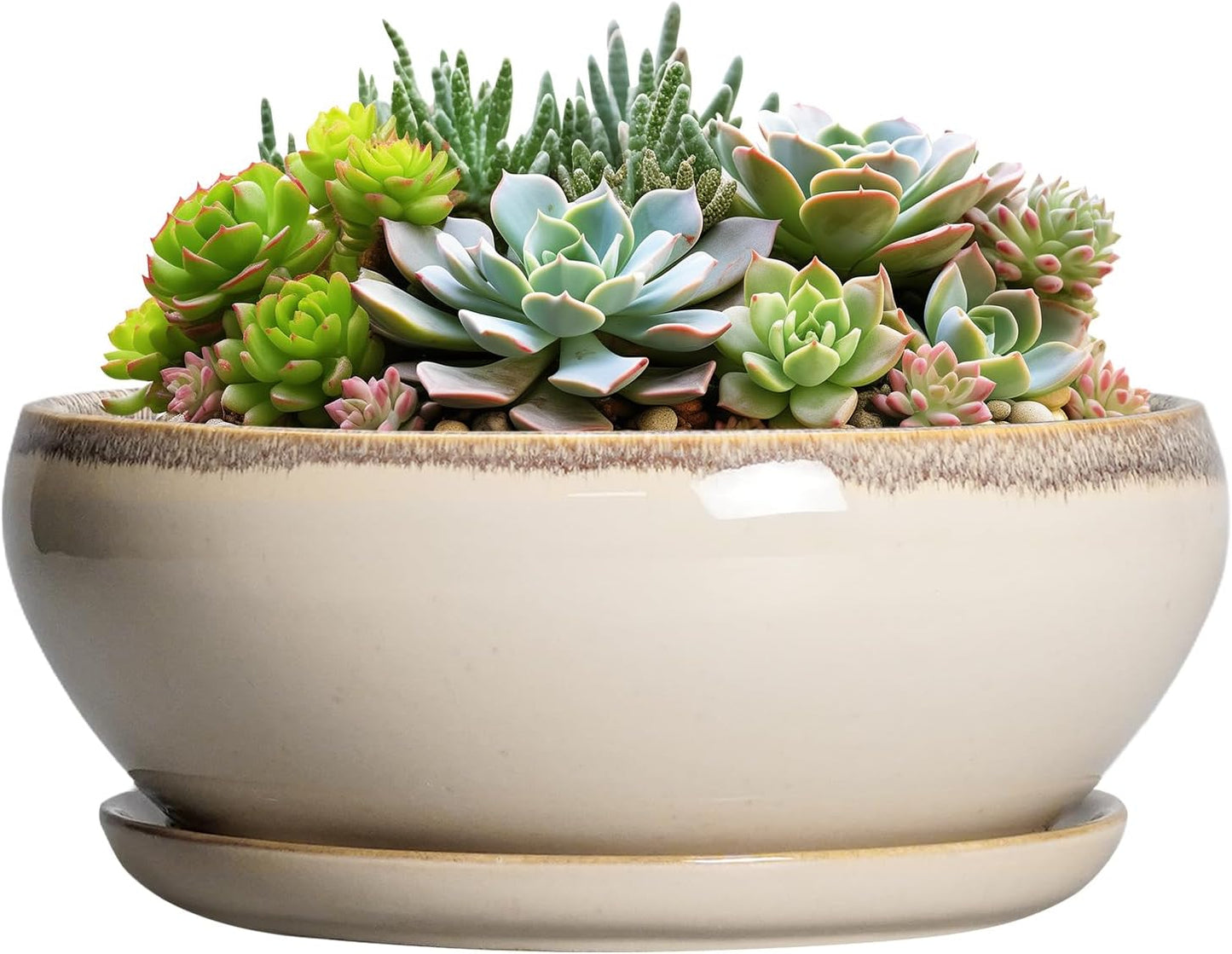 SQOWL Succulent Pots 8 Inch - Ceramic Bonsai Pots for Indoor Plants, Round Shallow Plant Pot with Drainage Hole and Saucer, Bowl Planter Outdoor, Patio Decor, Plant Lover Gifts, Beige