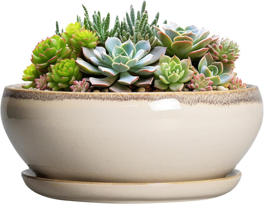 SQOWL Succulent Pots 8 Inch - Ceramic Bonsai Pots for Indoor Plants, Round Shallow Plant Pot with Drainage Hole and Saucer, Bowl Planter Outdoor, Patio Decor, Plant Lover Gifts, Beige