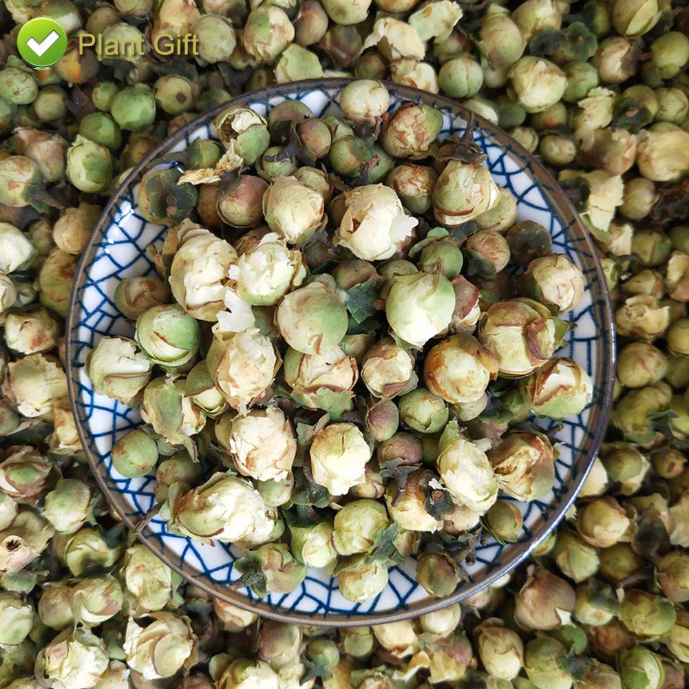 PlantGift Snow Plum Blossom Tea, 60G/2.11oz 雪梅花 Blossom Tea Flower, Chinese Dried Plums, Health Tea