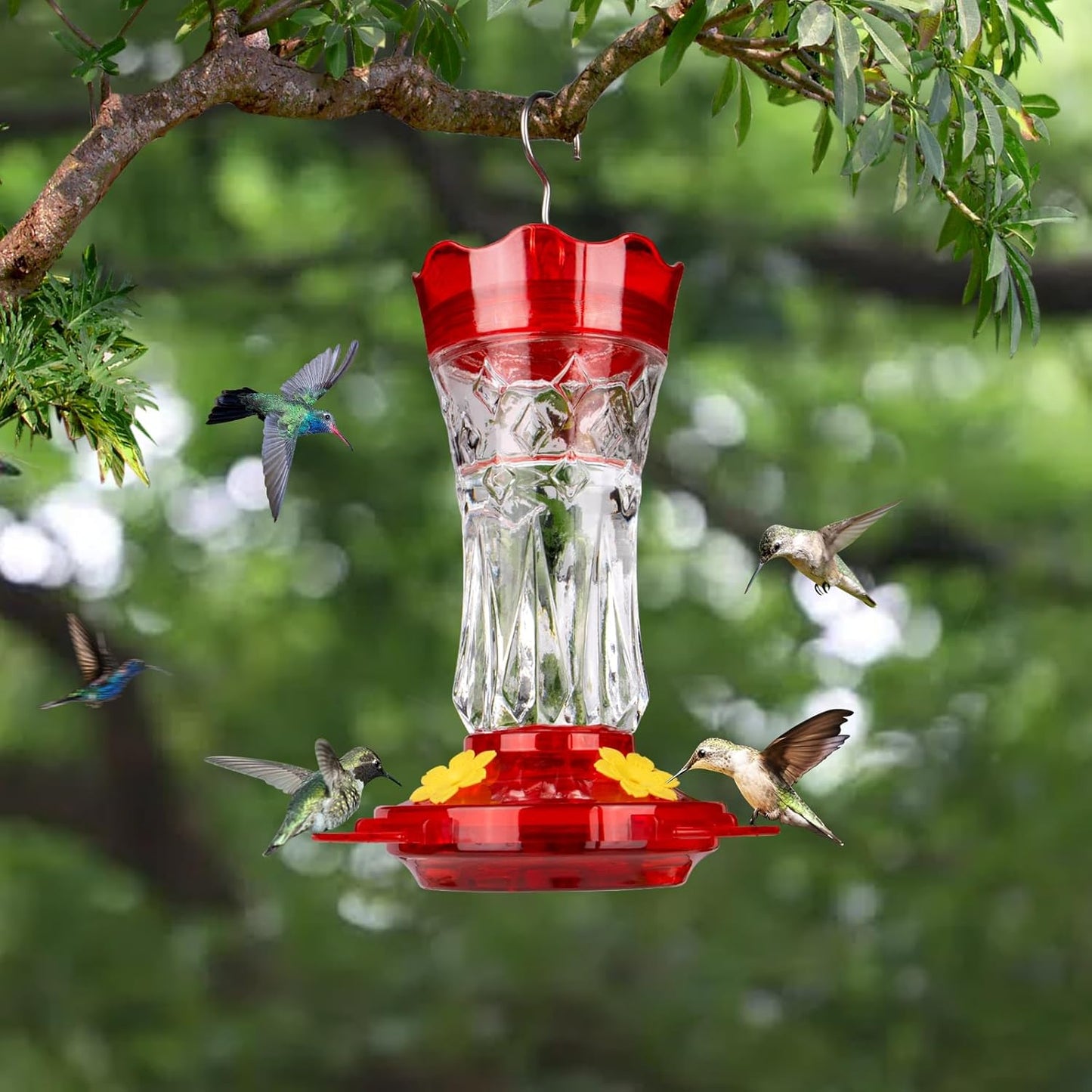 BOLITE Glass Hummingbird Feeders for Outdoors Hanging, Built-in Ant Moat, 4 Bee Guard Feeding Ports with Perches, Leak Proof, 15 Ounces, Stars Decor, Red, Gifts for Women Men, Gifts for Mom Dad