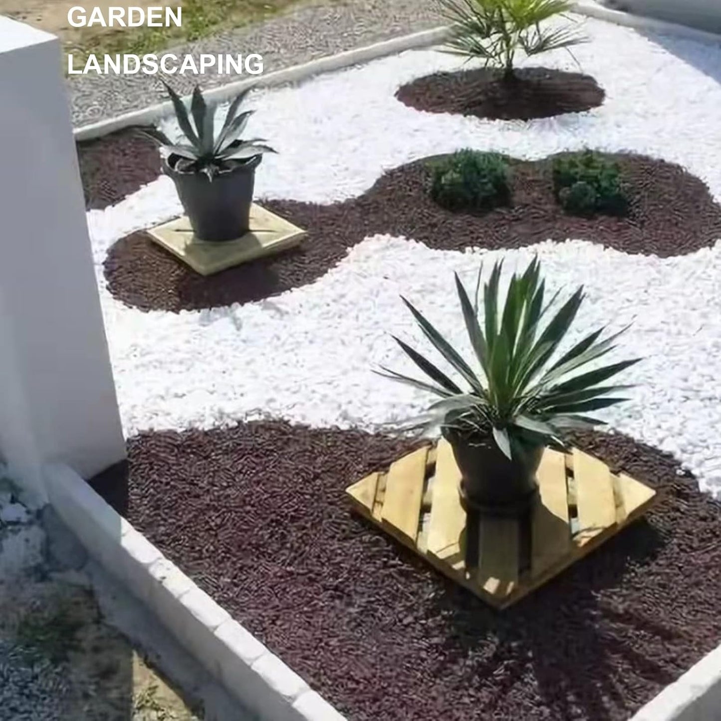 HappyFiller 18 LB White Gravels Small Terrarium Rocks Stones for Bamboo,Cactus,Vase Fillers,Succulents Plants,Landscaping,Aquarium,Zen Garden,1 Inch